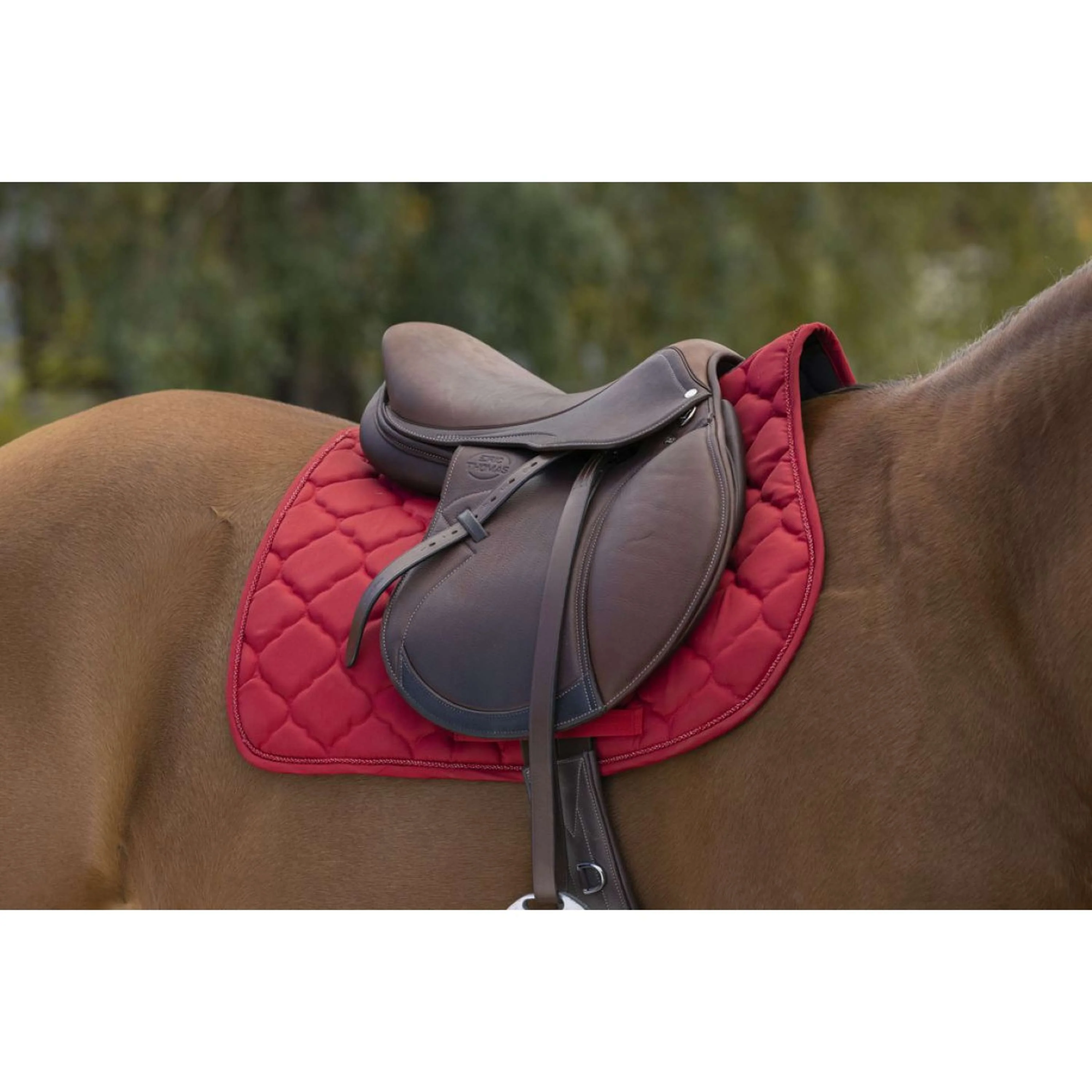 Riding World Tapis de Selle Rope Rouge - Image 2