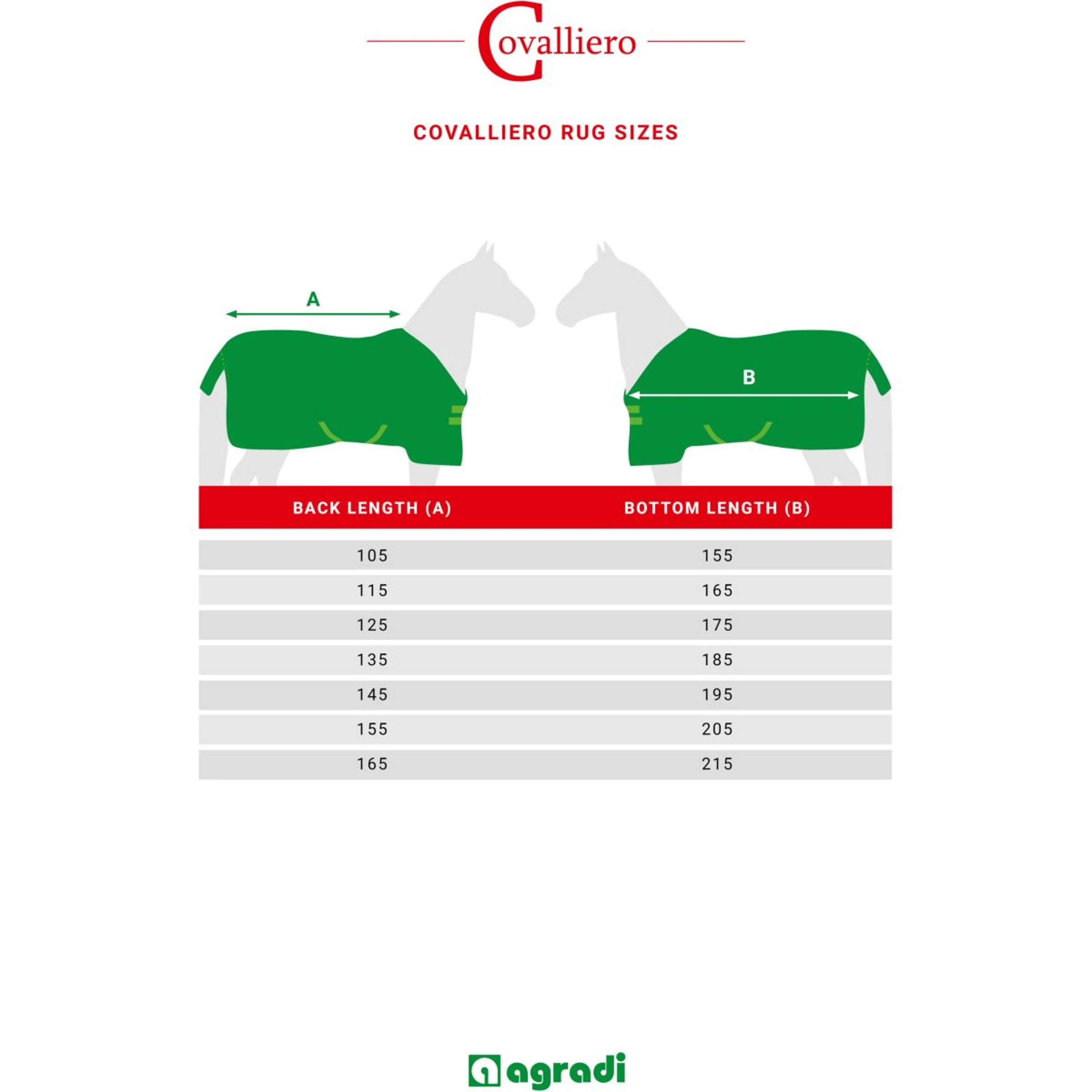 RugBe by Covalliero Chemise de Marcheur Noir - Image 11