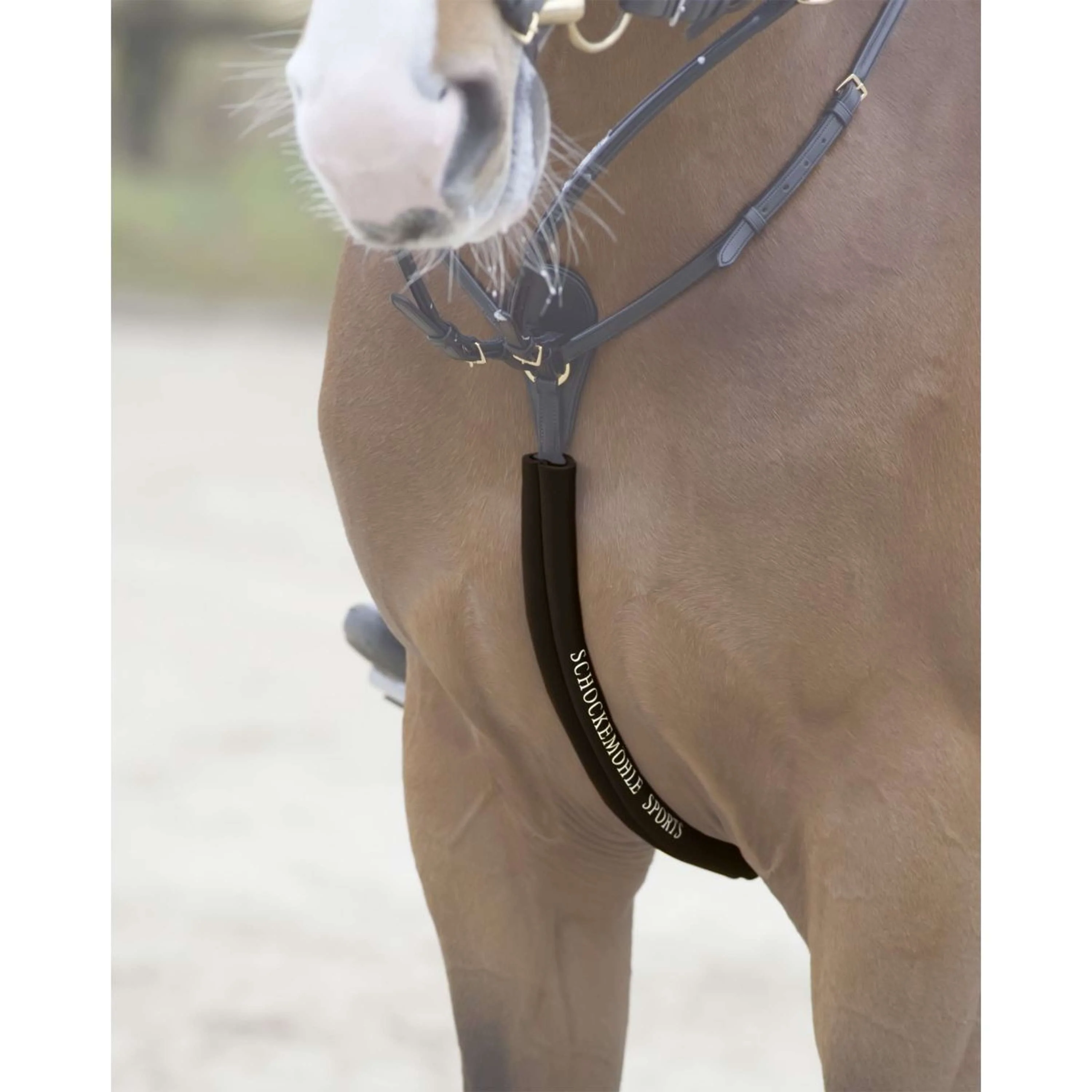 Schockemöhle Body Guard pour Collier de Chasse Espresso - Image 3