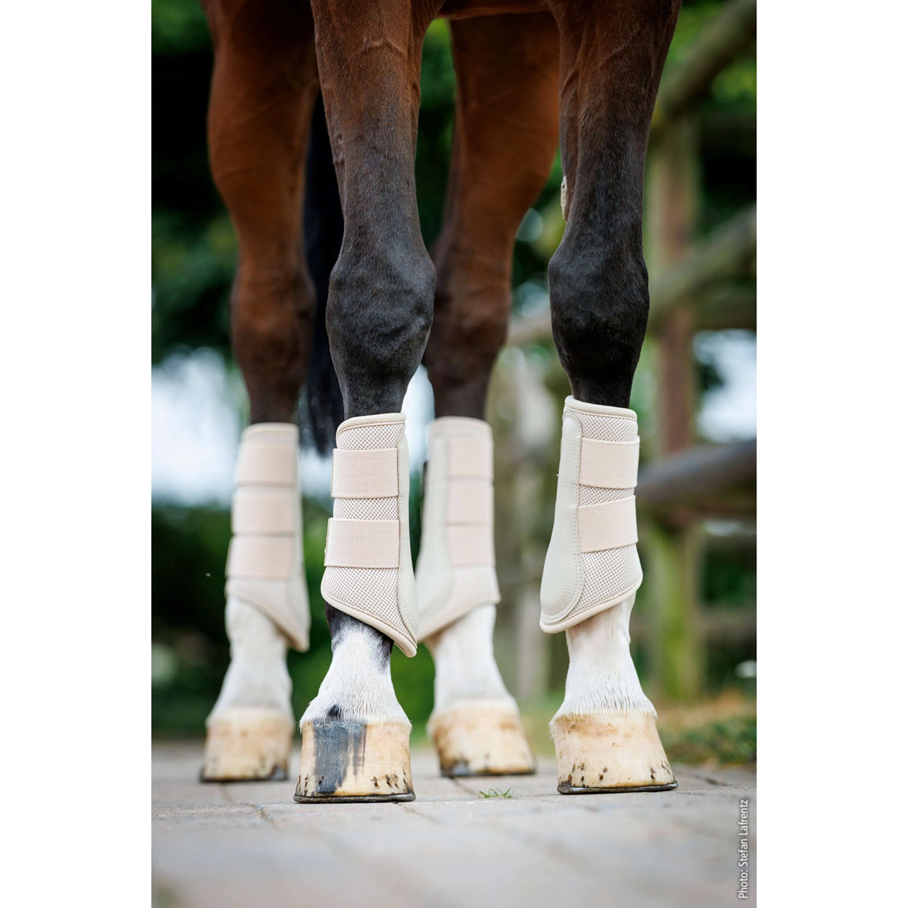 Schockemöhle Dressage Boots SP Mesh Guards Style Pierre - Image 2