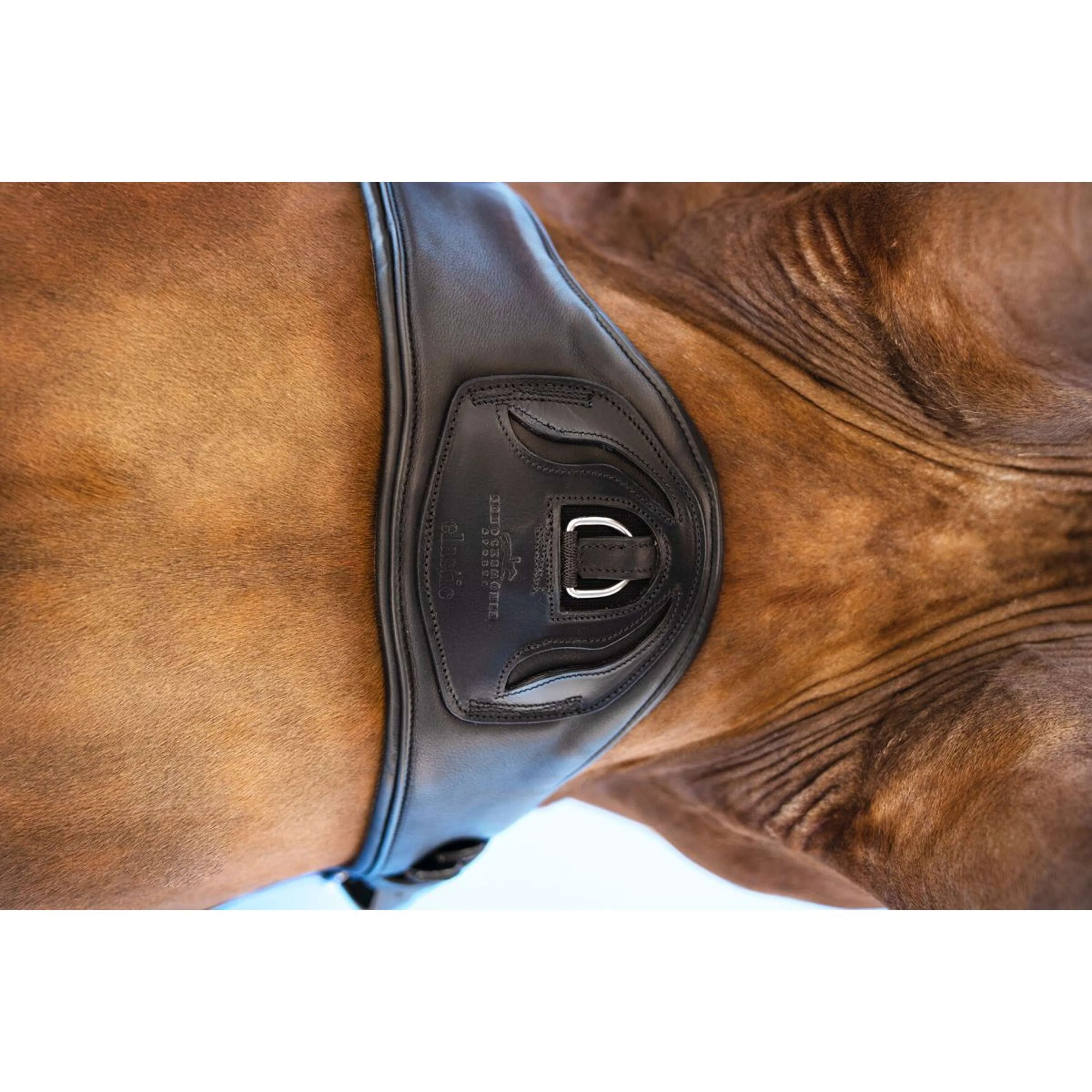 Schockemöhle Sangle de Dressage Pittsburgh Stretch Noir/Argent - Image 3