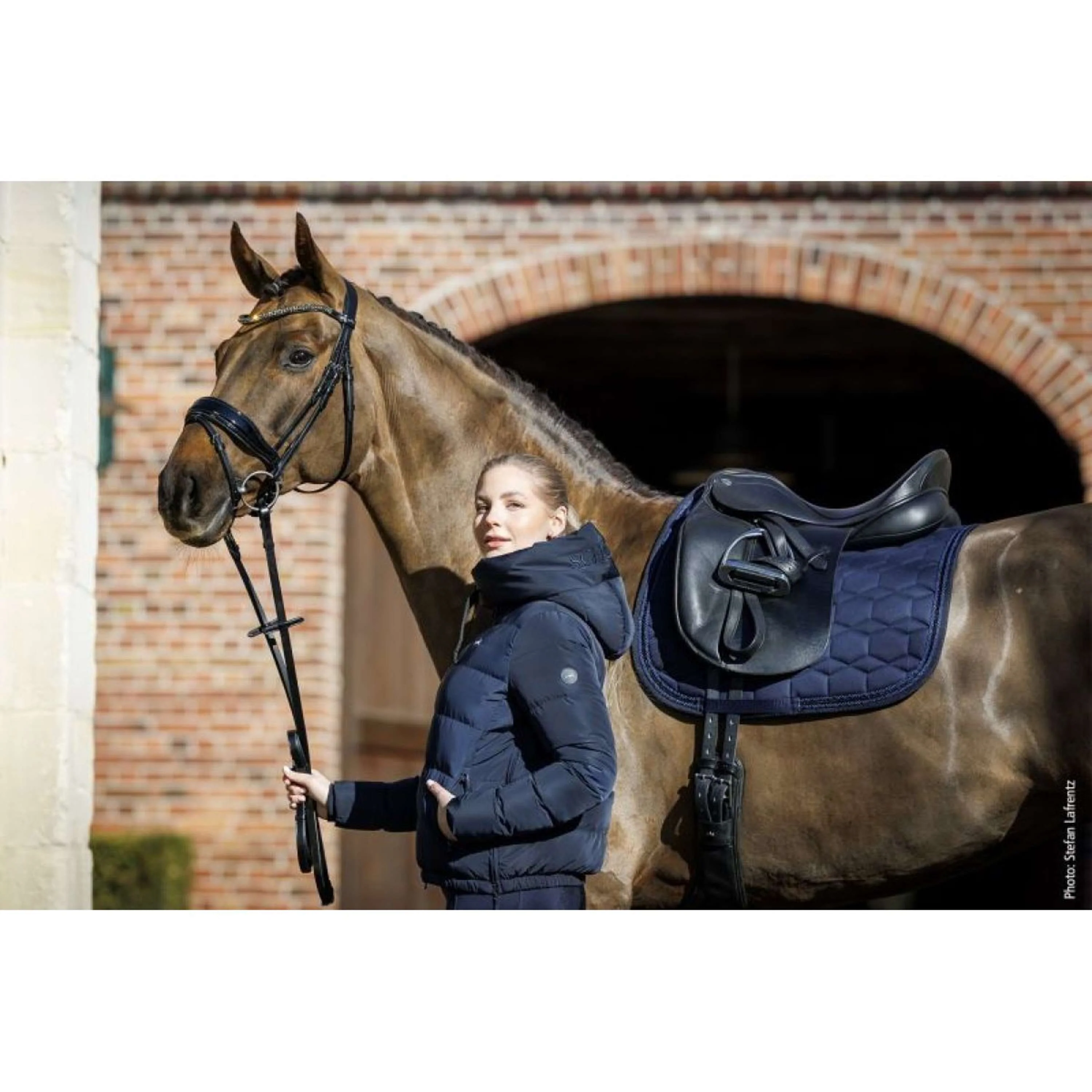 Schockemöhle Tapis de Selle High Density Dressage Foncé Marine - Image 2