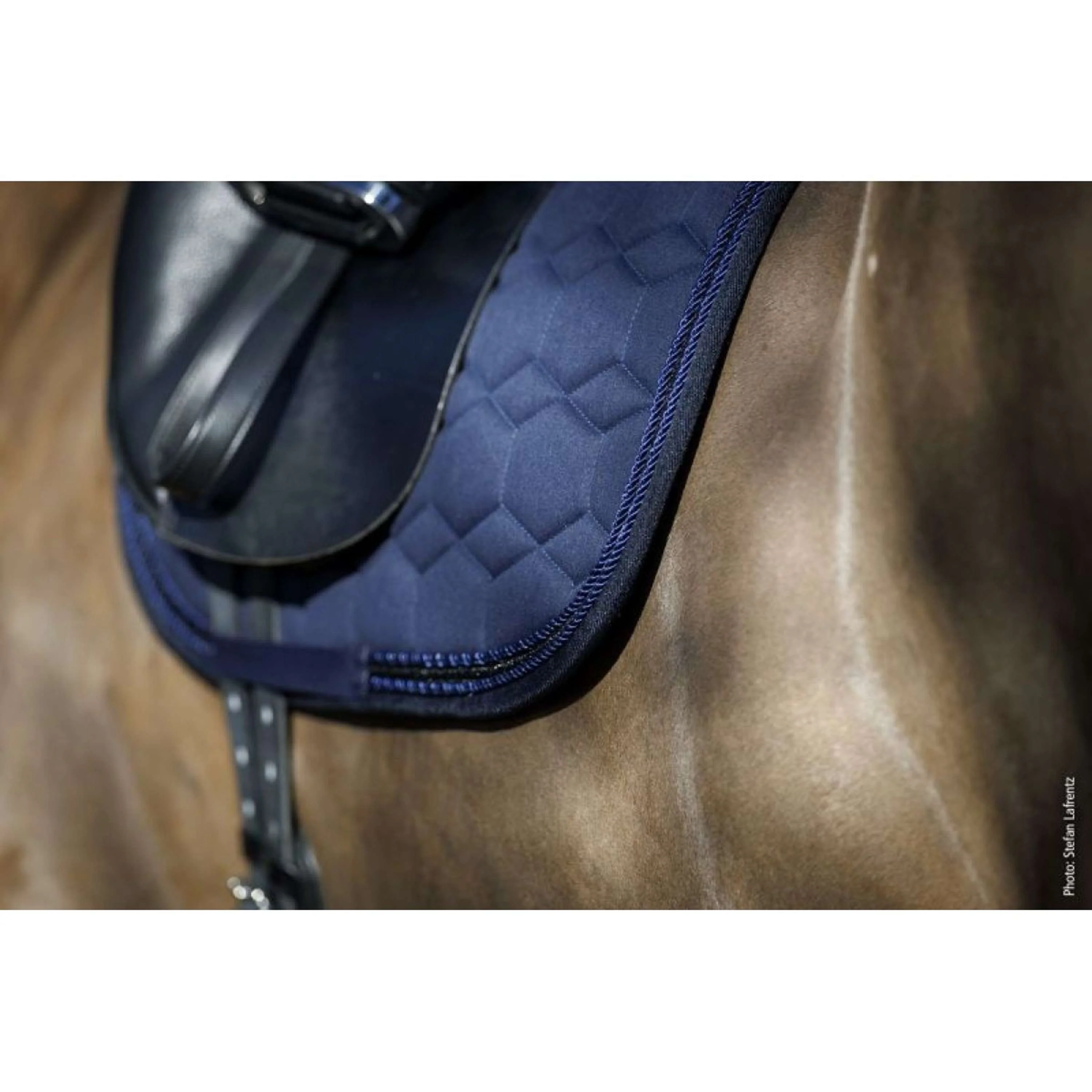 Schockemöhle Tapis de Selle High Density Dressage Foncé Marine - Image 3