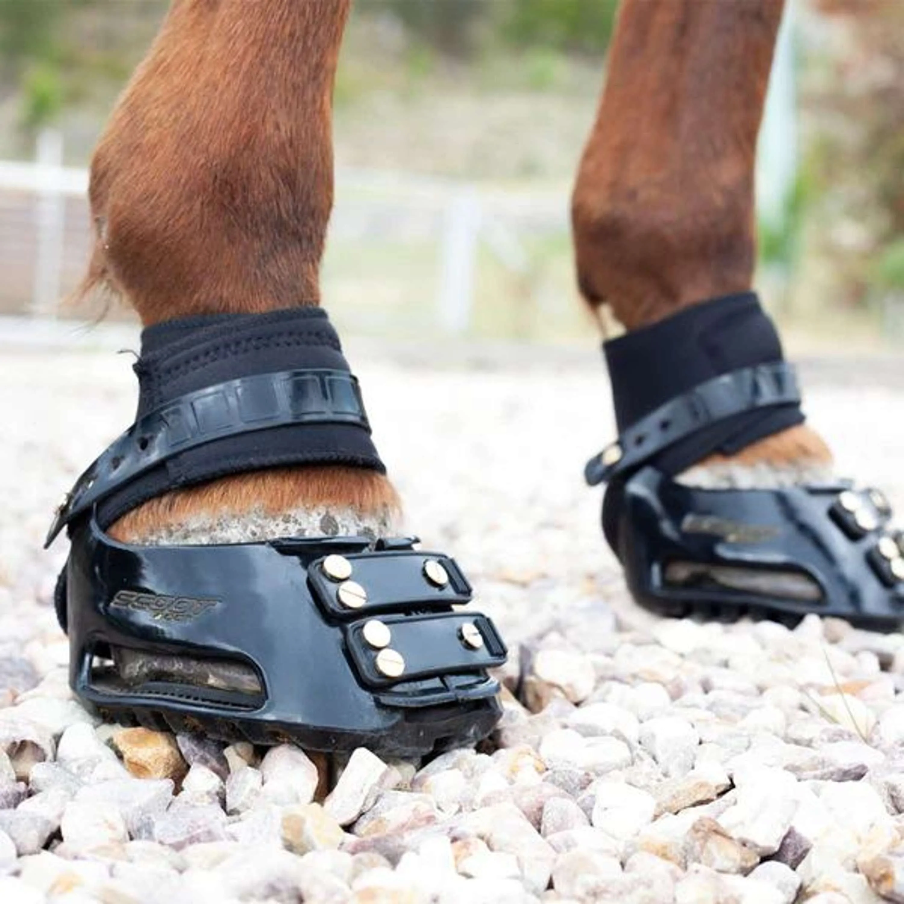 Scoot Boot Endurance Gaiter Noir - Image 4