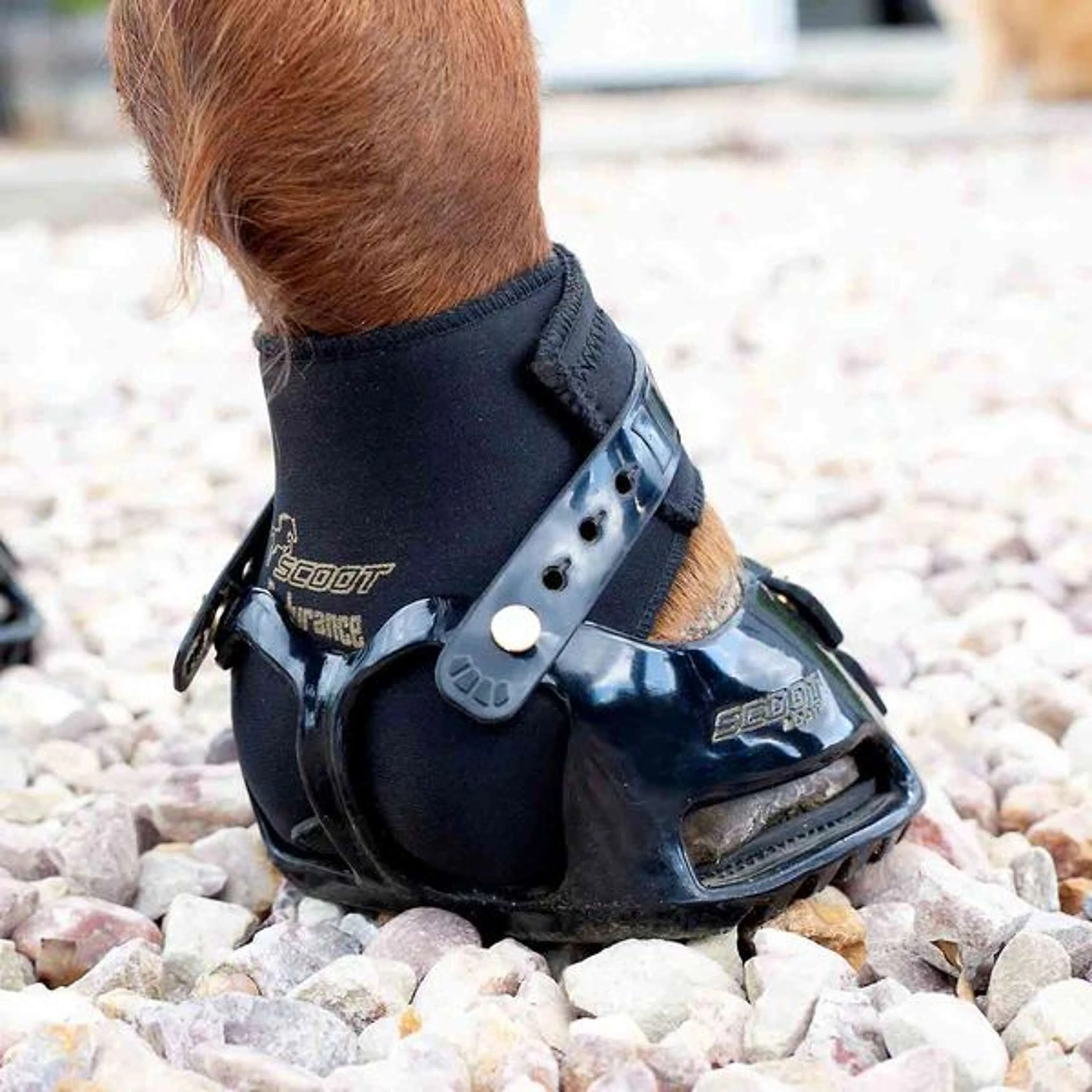 Scoot Boot Endurance Gaiter Noir - Image 5