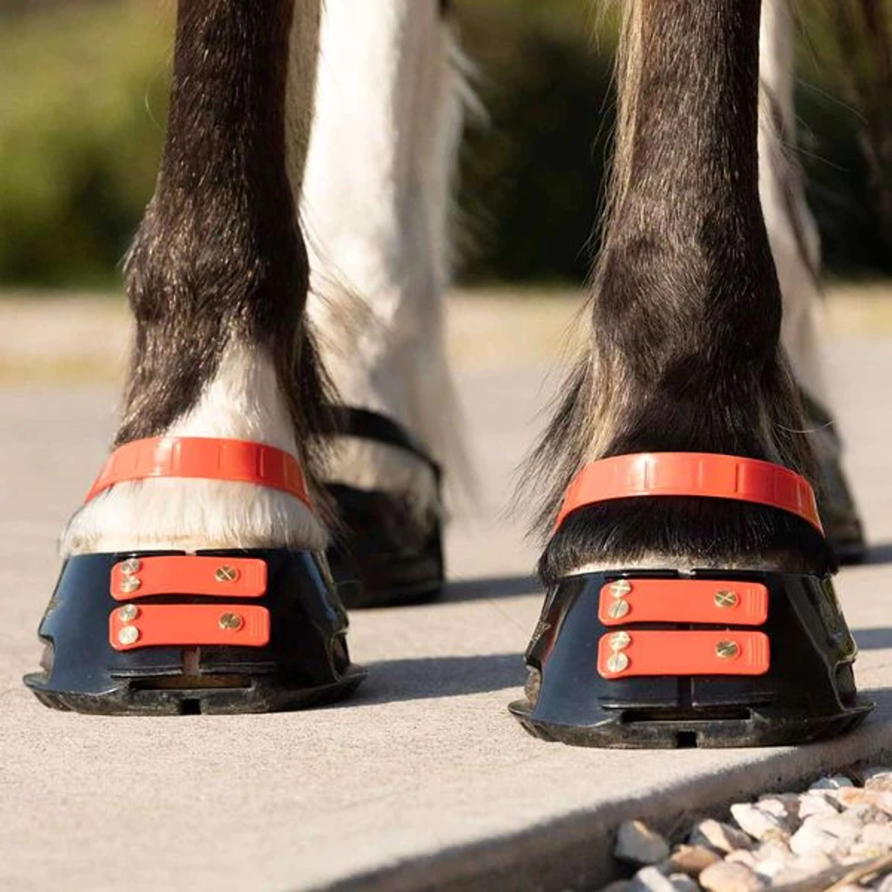 Scoot Boot Front Strap Hibiscus - Image 2
