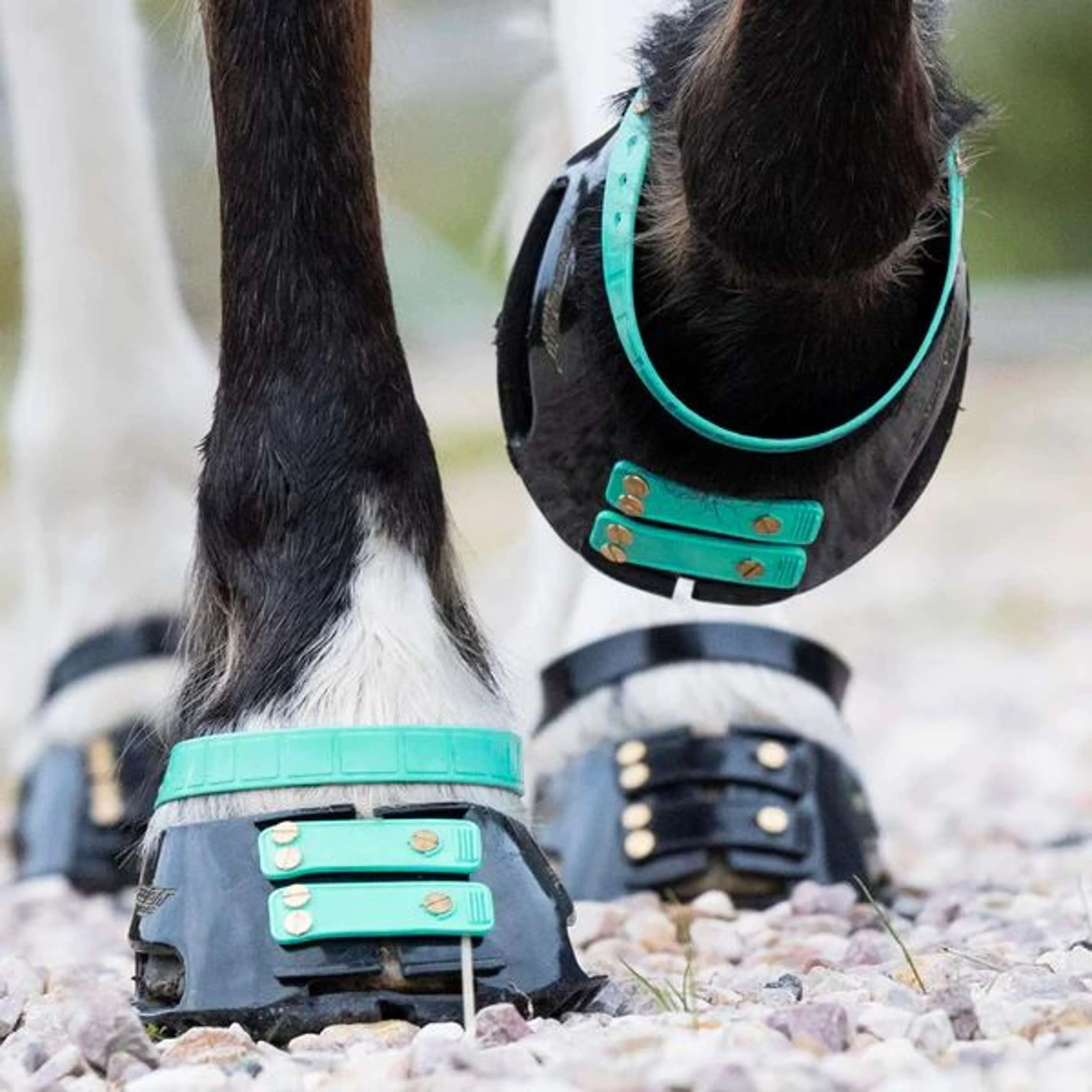 Scoot Boot Front Strap Marine - Image 2