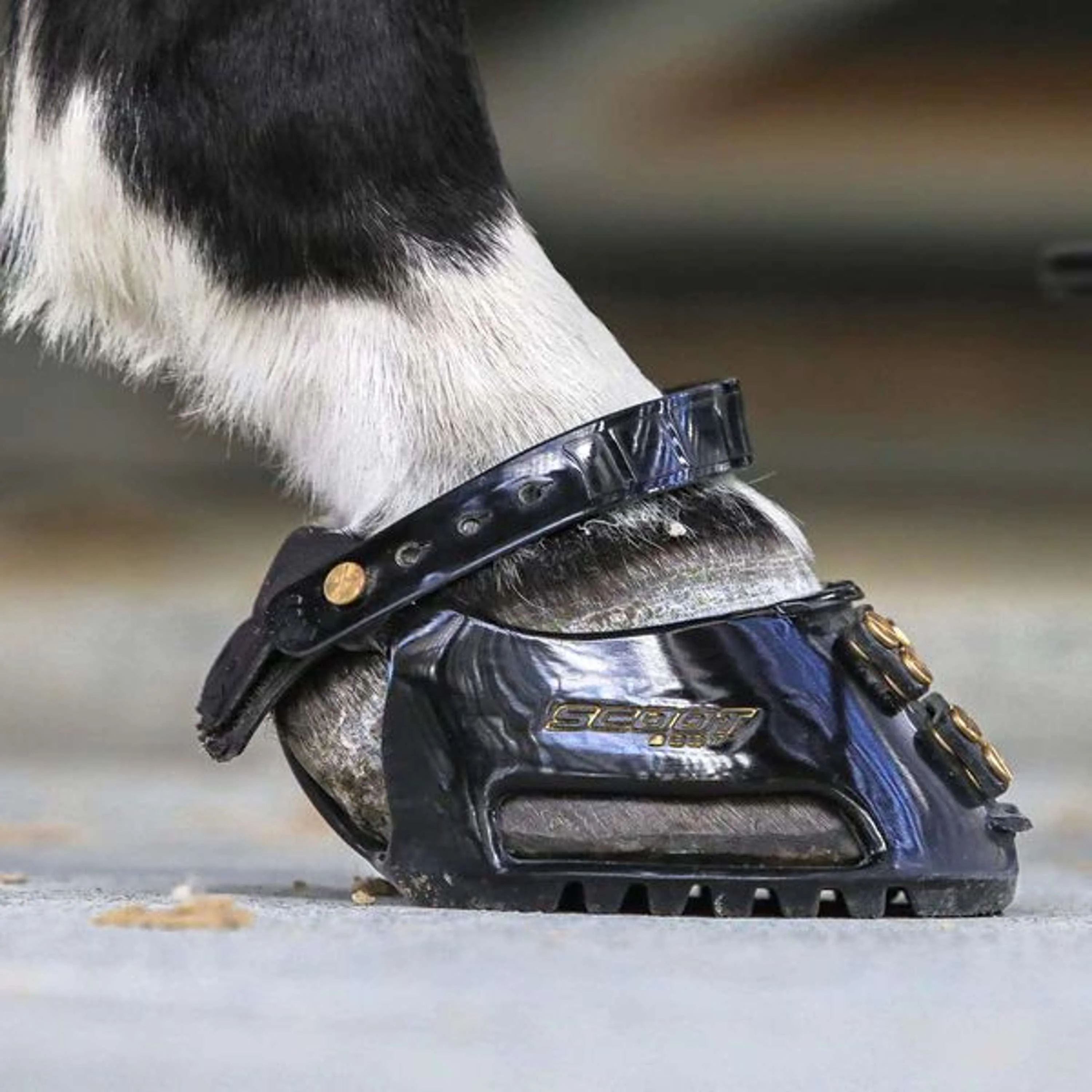 Scoot Boot Hipposandale Regular Single Noir - Image 5