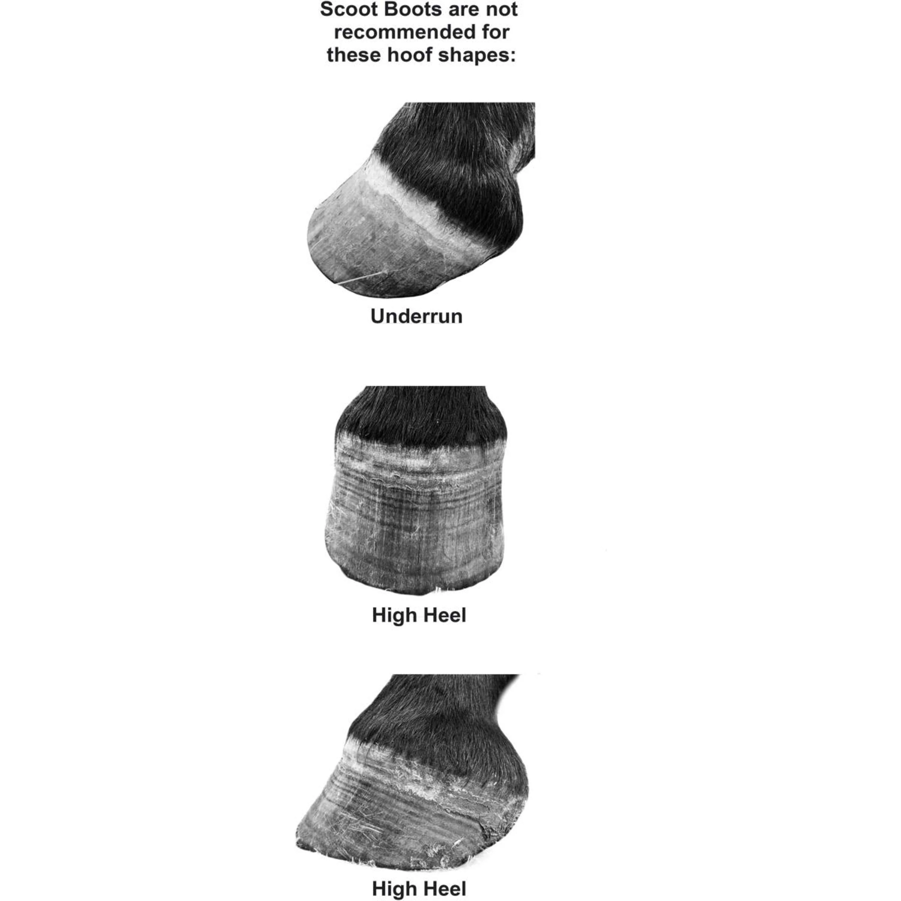 Scoot Boot Hipposandale Regular Single Poney Noir - Image 8