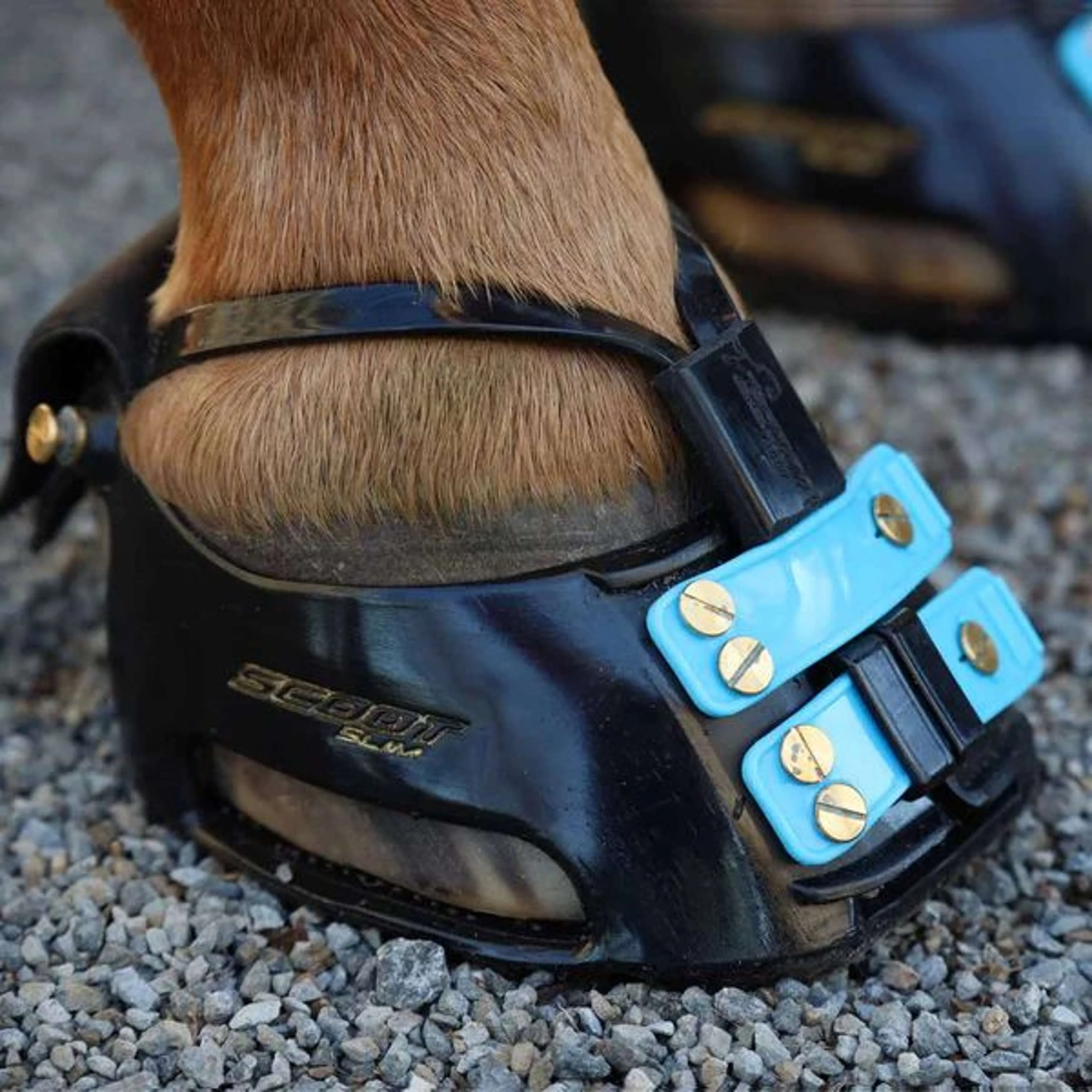 Scoot Boot Mud Strap Noir - Image 2