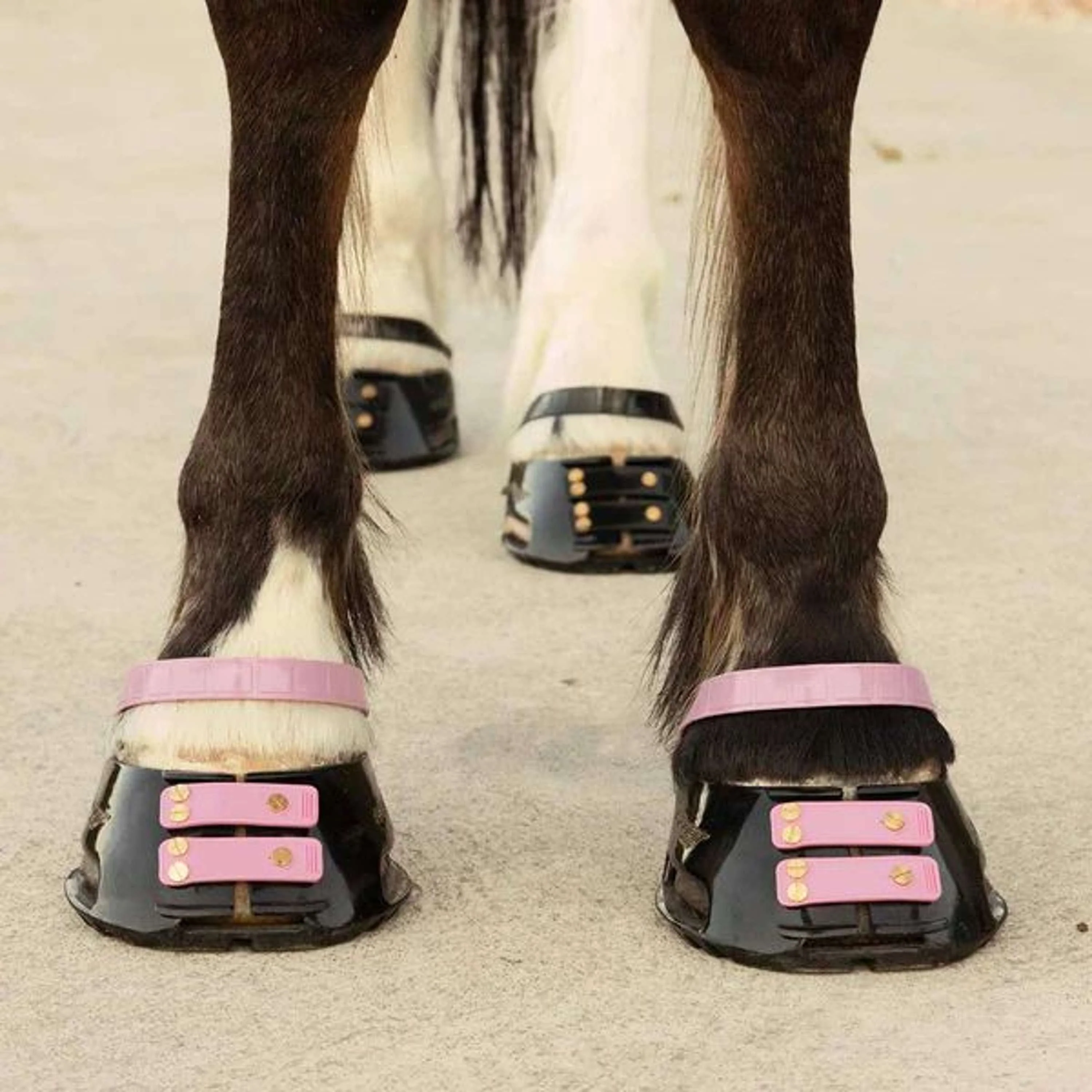 Scoot Boot Pastern Strap Blossom - Image 2