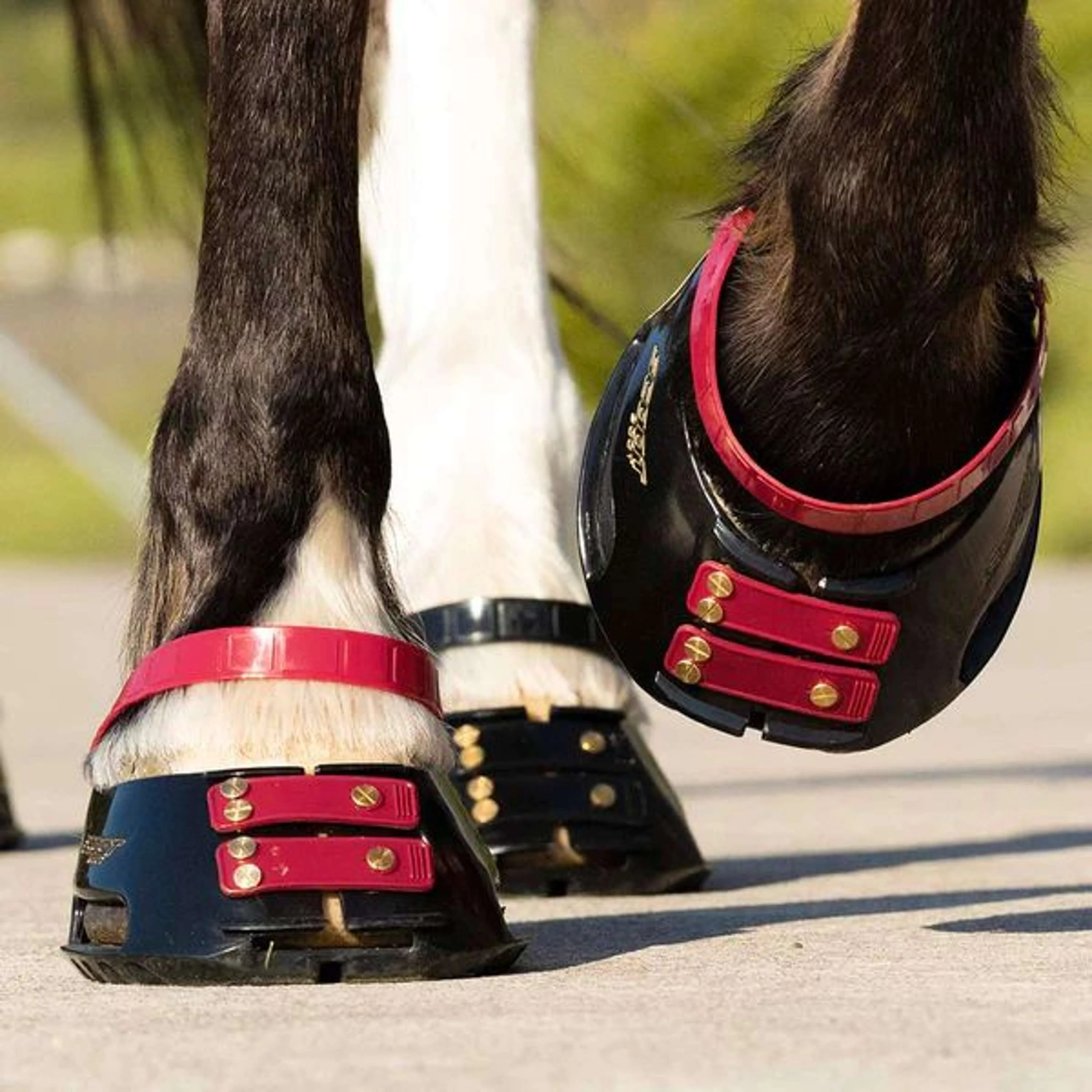Scoot Boot Pastern Strap Mulberry - Image 2