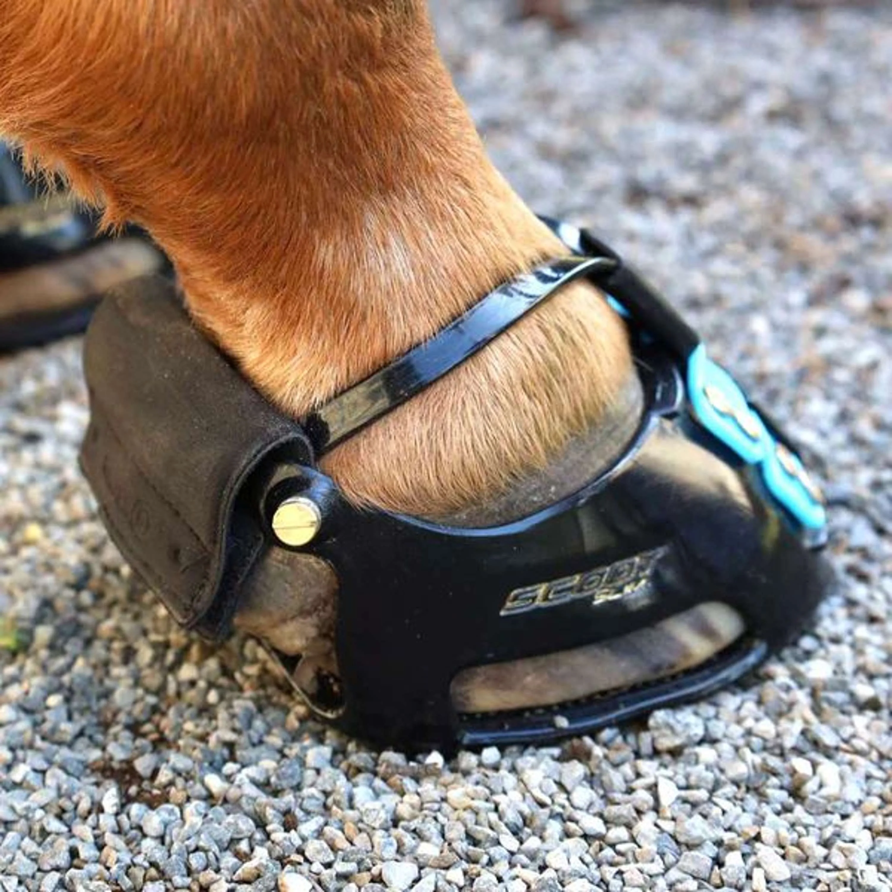 Scoot Boot Trail Gaiter Noir - Image 2