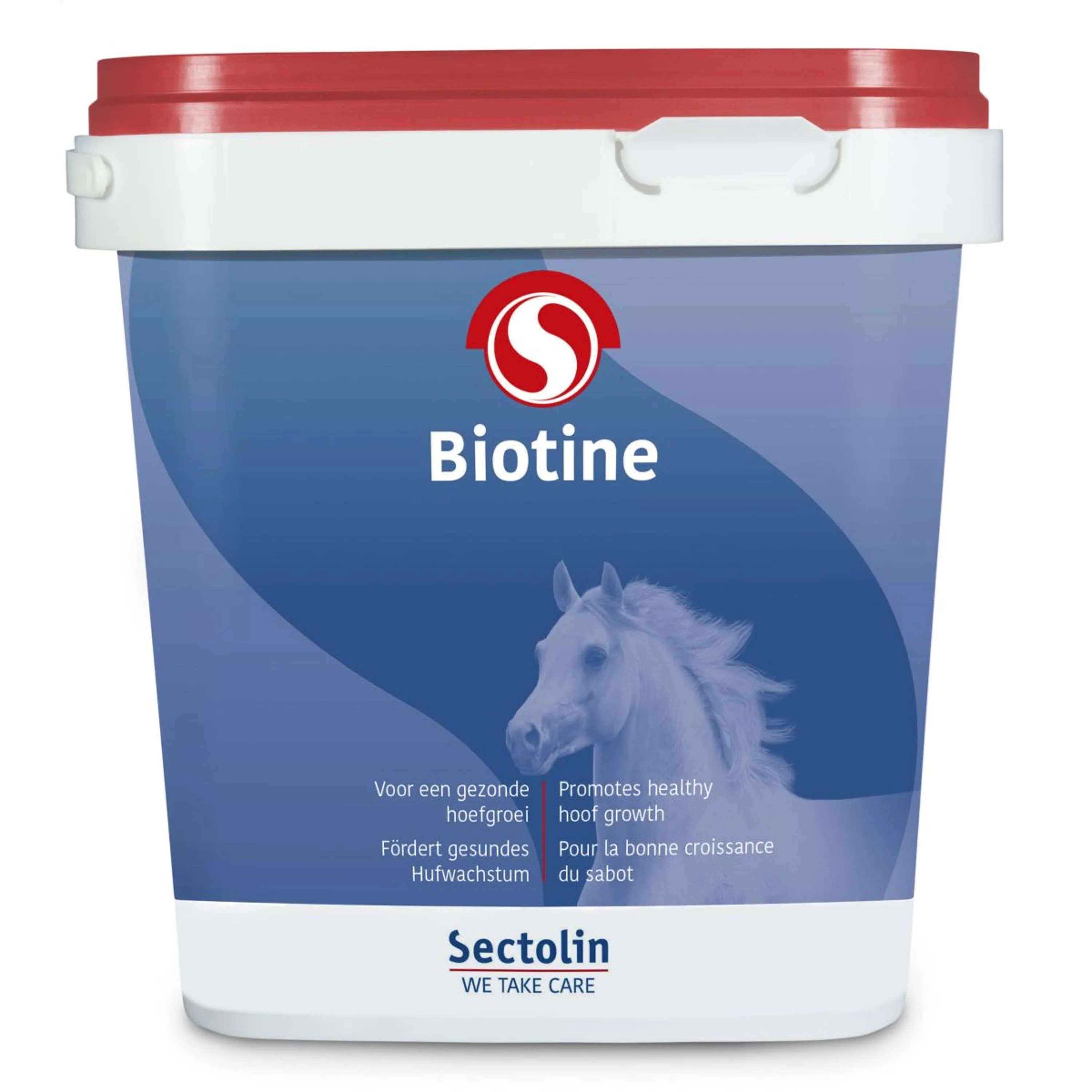 Sectolin Biotine Equivital - Image 7