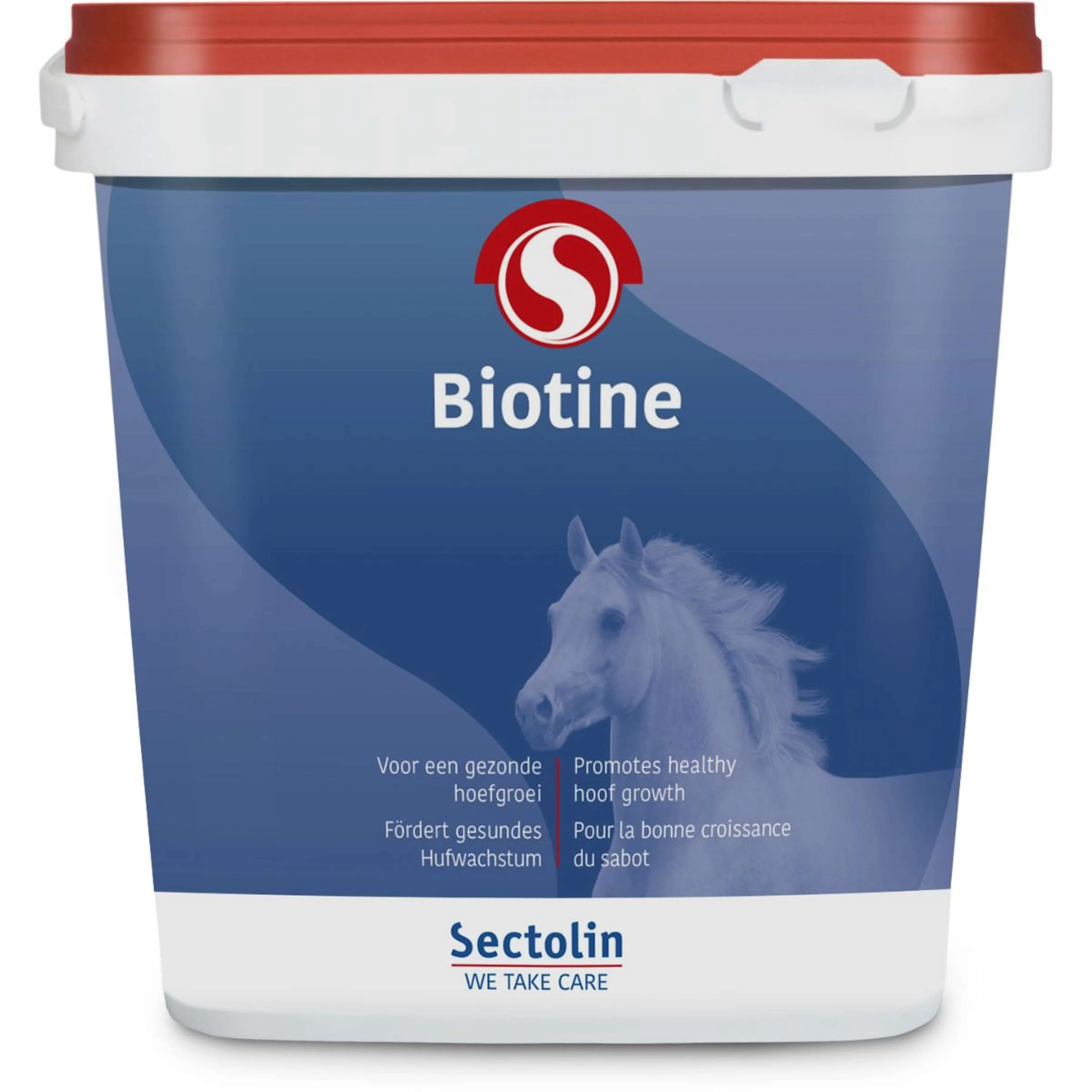 Sectolin Biotine Equivital - Image 8