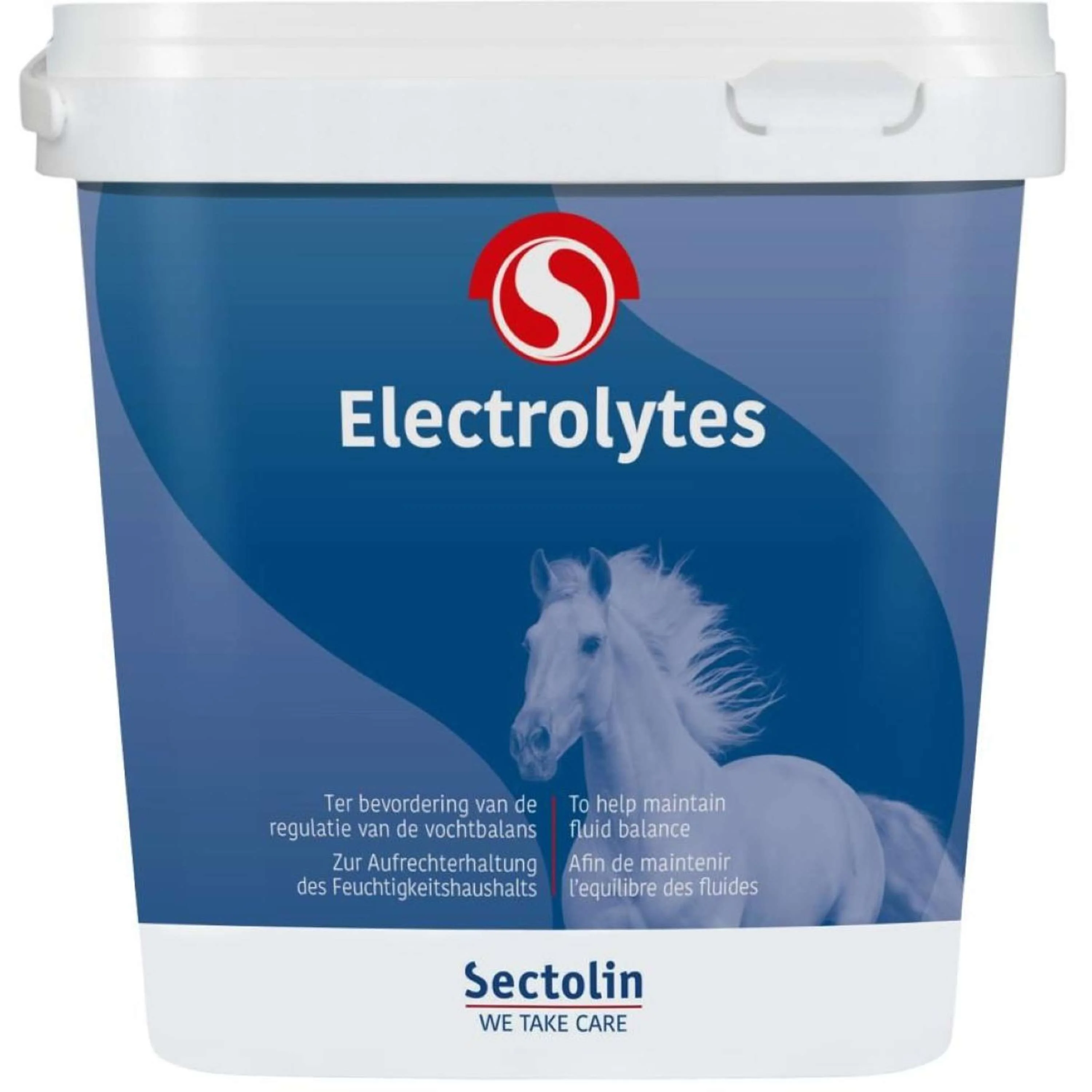 Sectolin Electrolytes - Image 2
