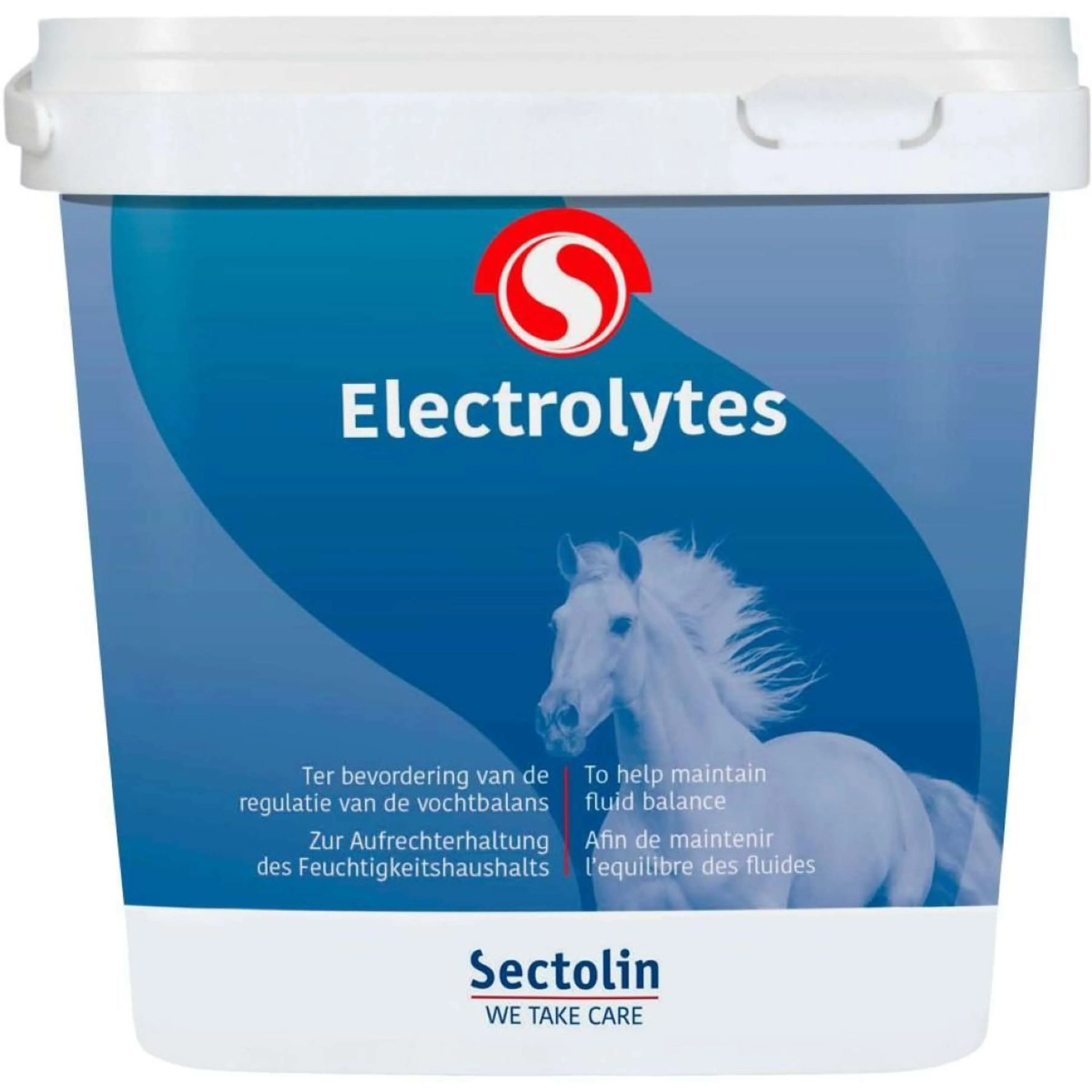 Sectolin Electrolytes - Image 3