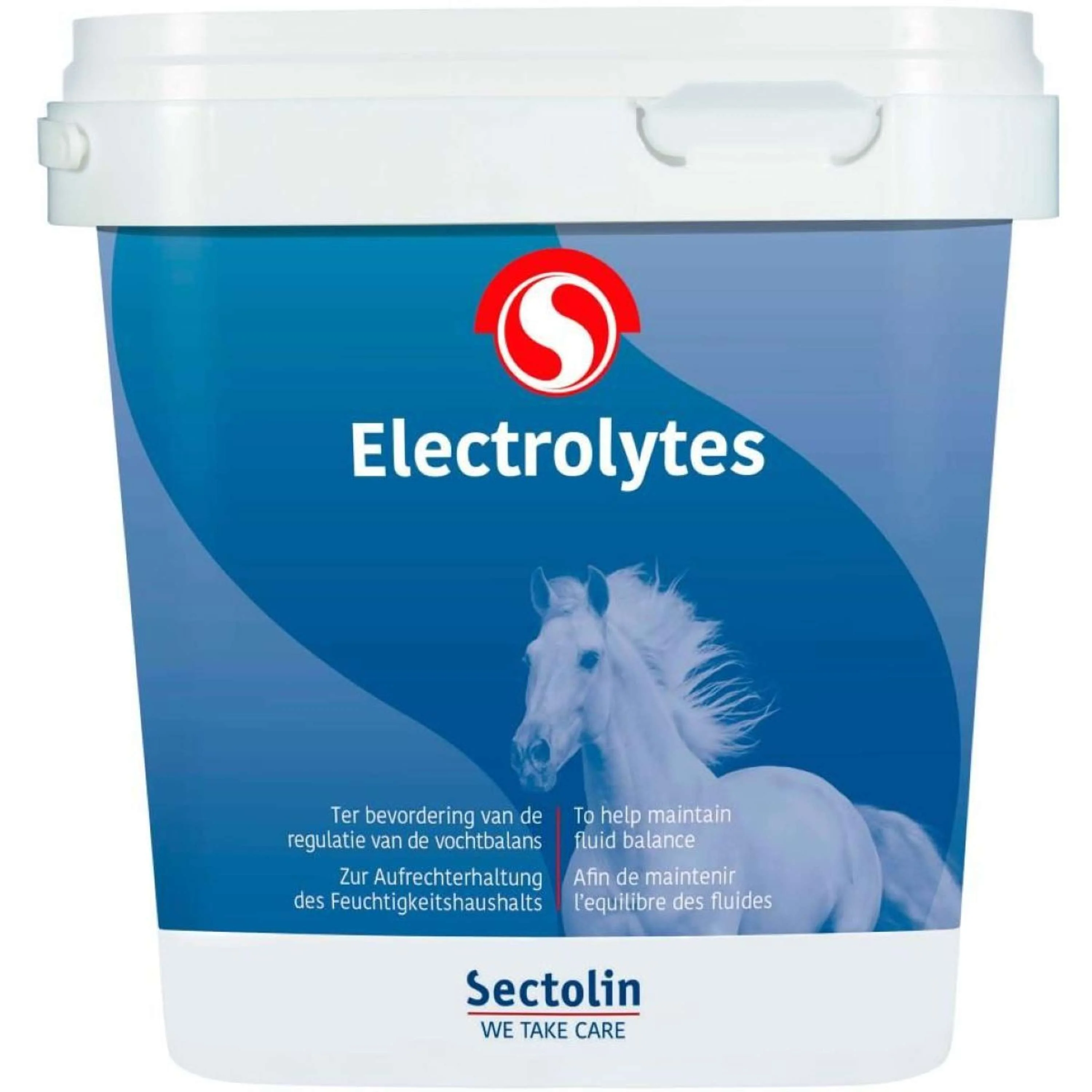 Sectolin Electrolytes - Image 4