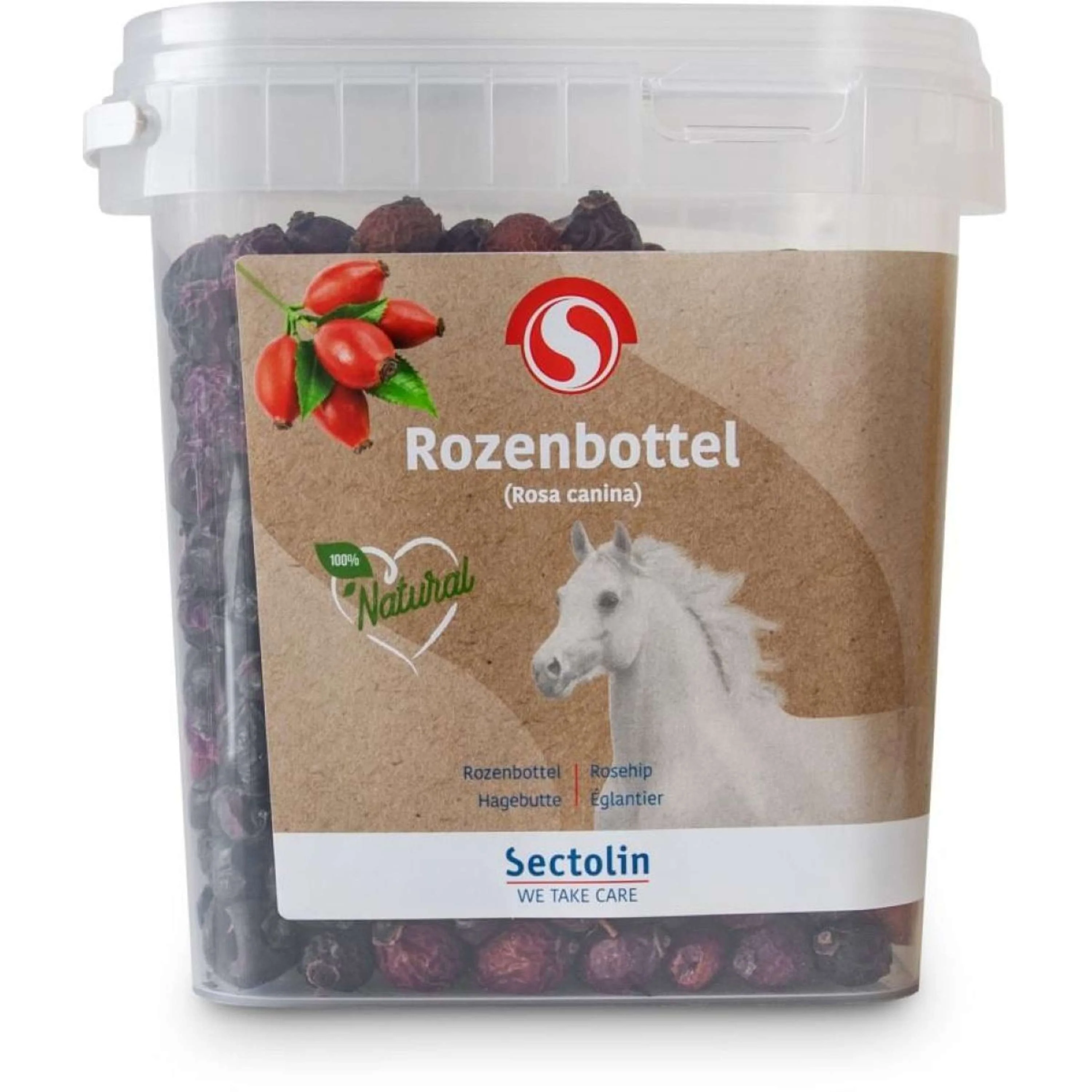 Sectolin Gratte-Gul - Image 2