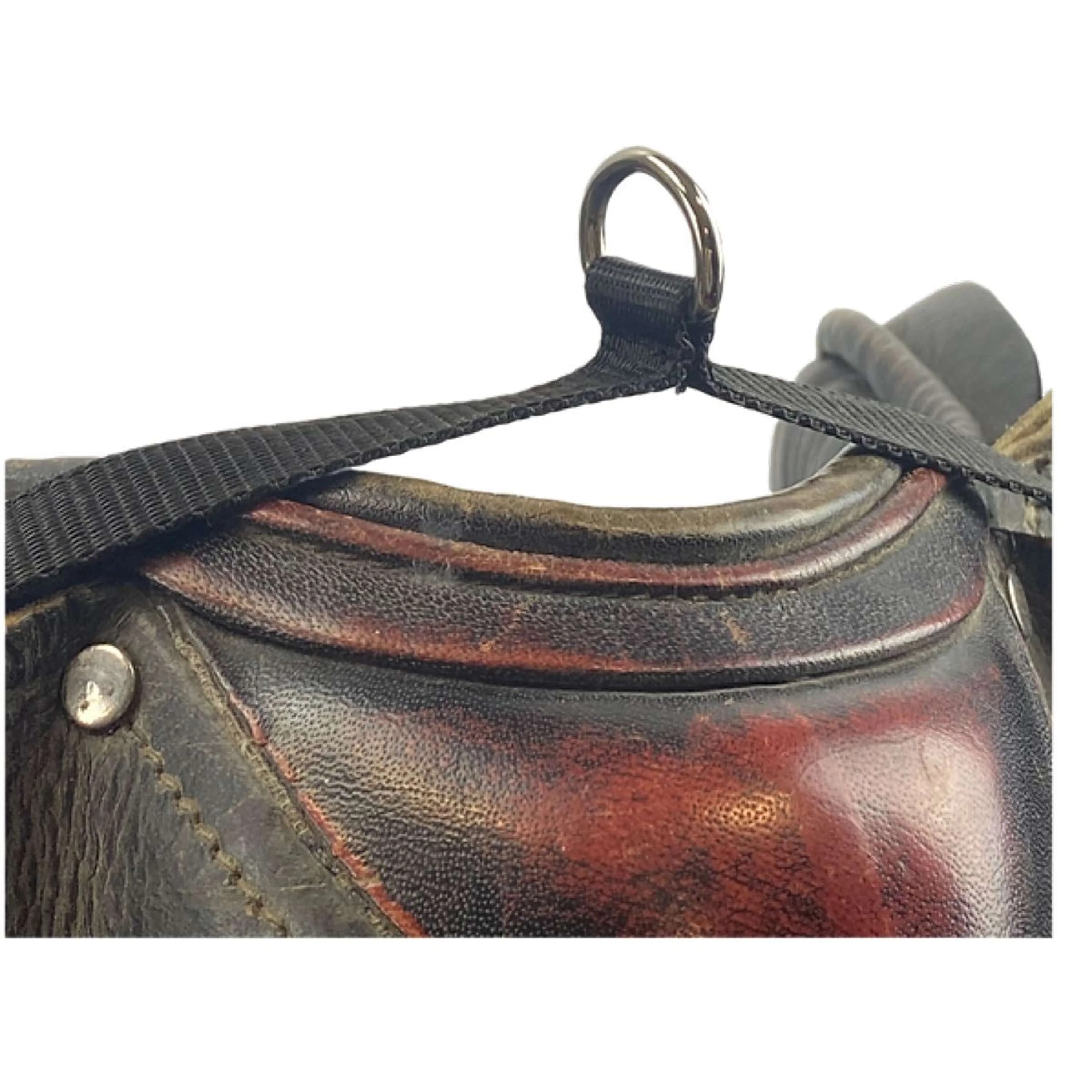 Segura Equitation Cordon de fixation de selle Noir - Image 2