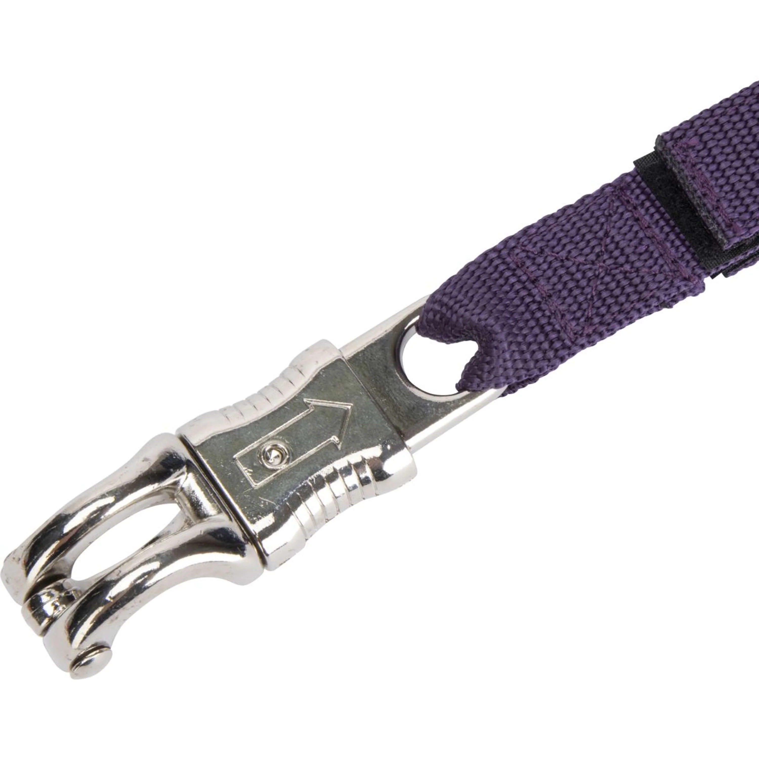 Shires Chaîne d'Attache Bungee Breakaway Violet - Image 5