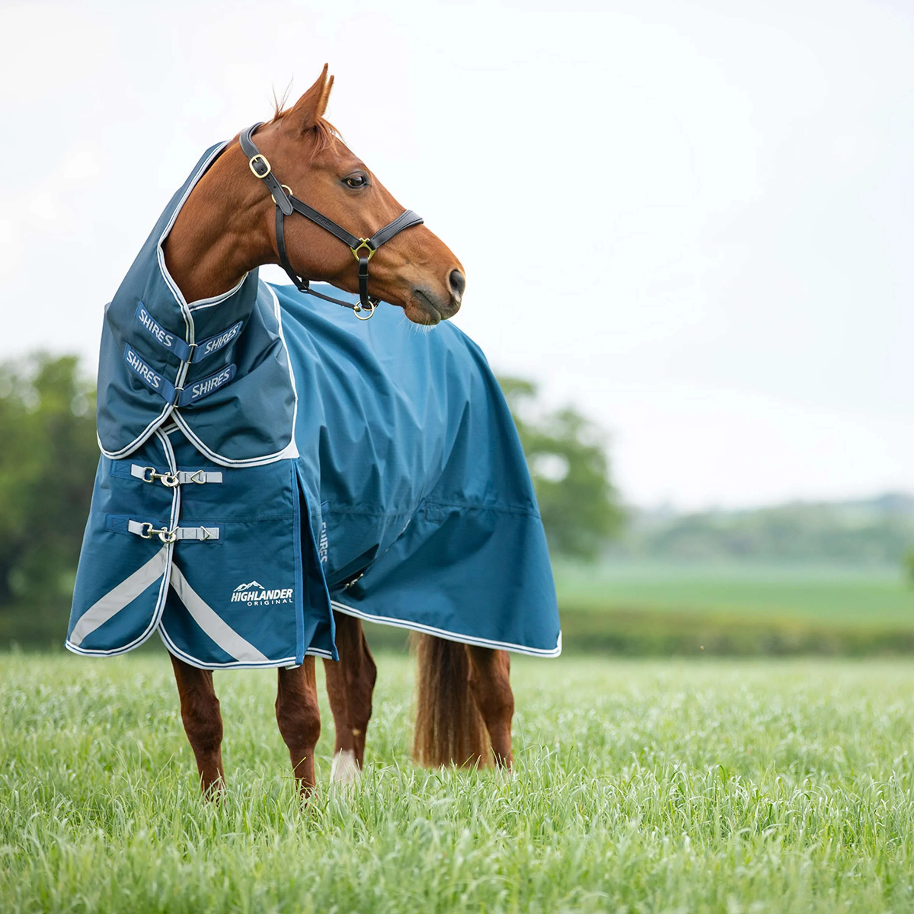 Shires Couverture Imperméable Original 50 Turnout avec Couvre-cou - Image 2