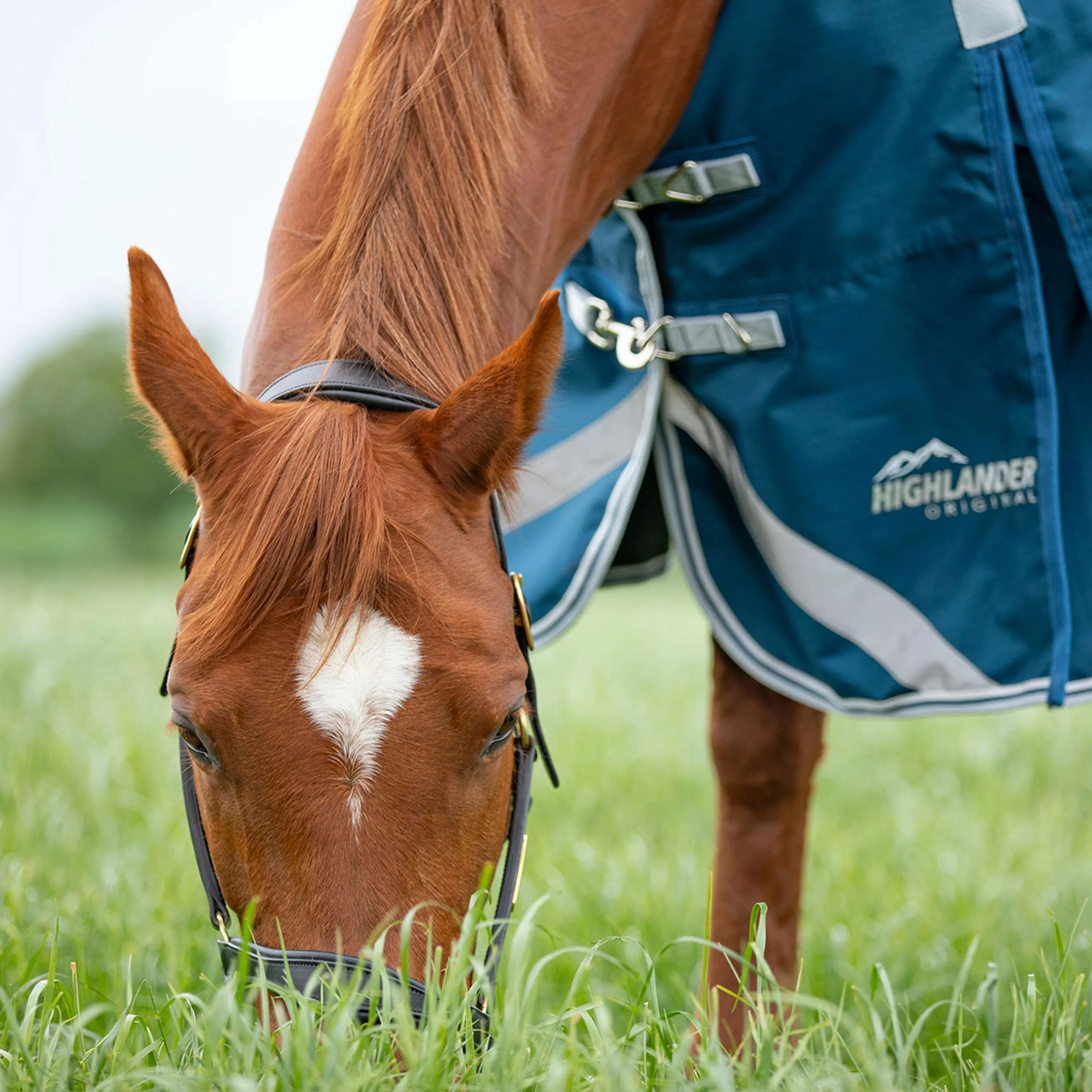 Shires Couverture Imperméable Original 50 Turnout avec Couvre-cou - Image 6