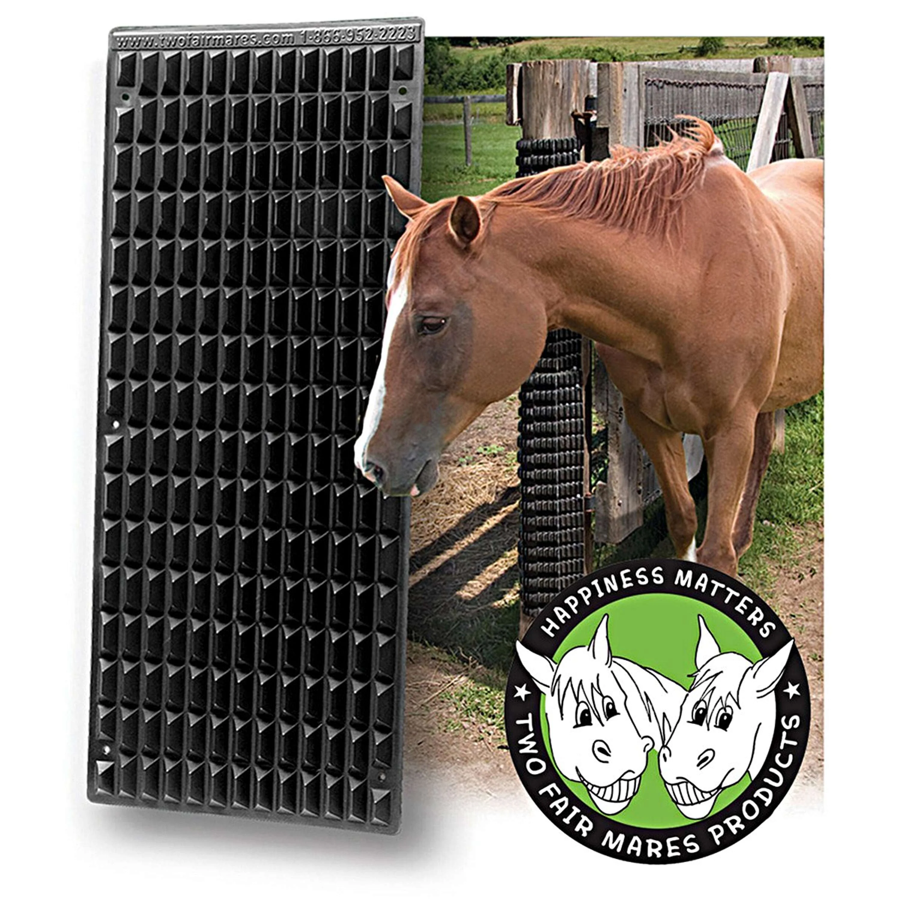 Shires Grattoir Equine Noir - Image 2