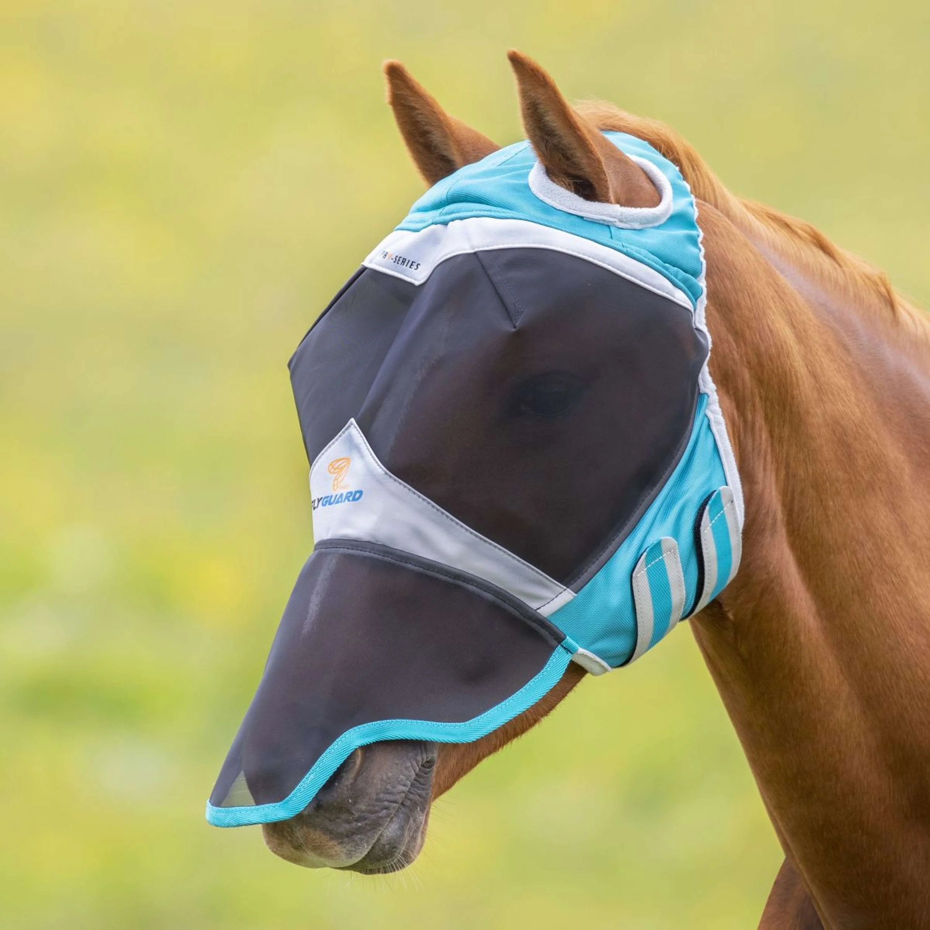 Shires Masque Anti-Mouches avec Découpe D'oreille et Rabat de Nez Teal - Image 2