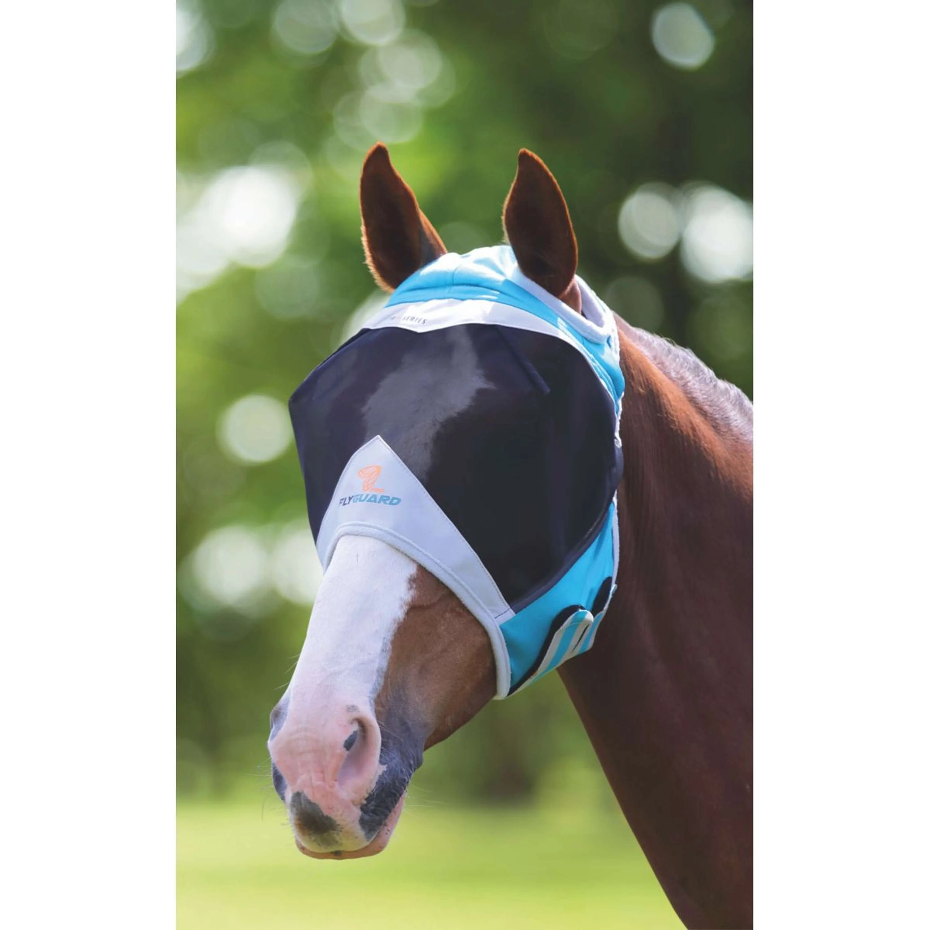 Shires Masque Anti-Mouches Filet Fin avec Découpe D'oreille Teal - Image 2