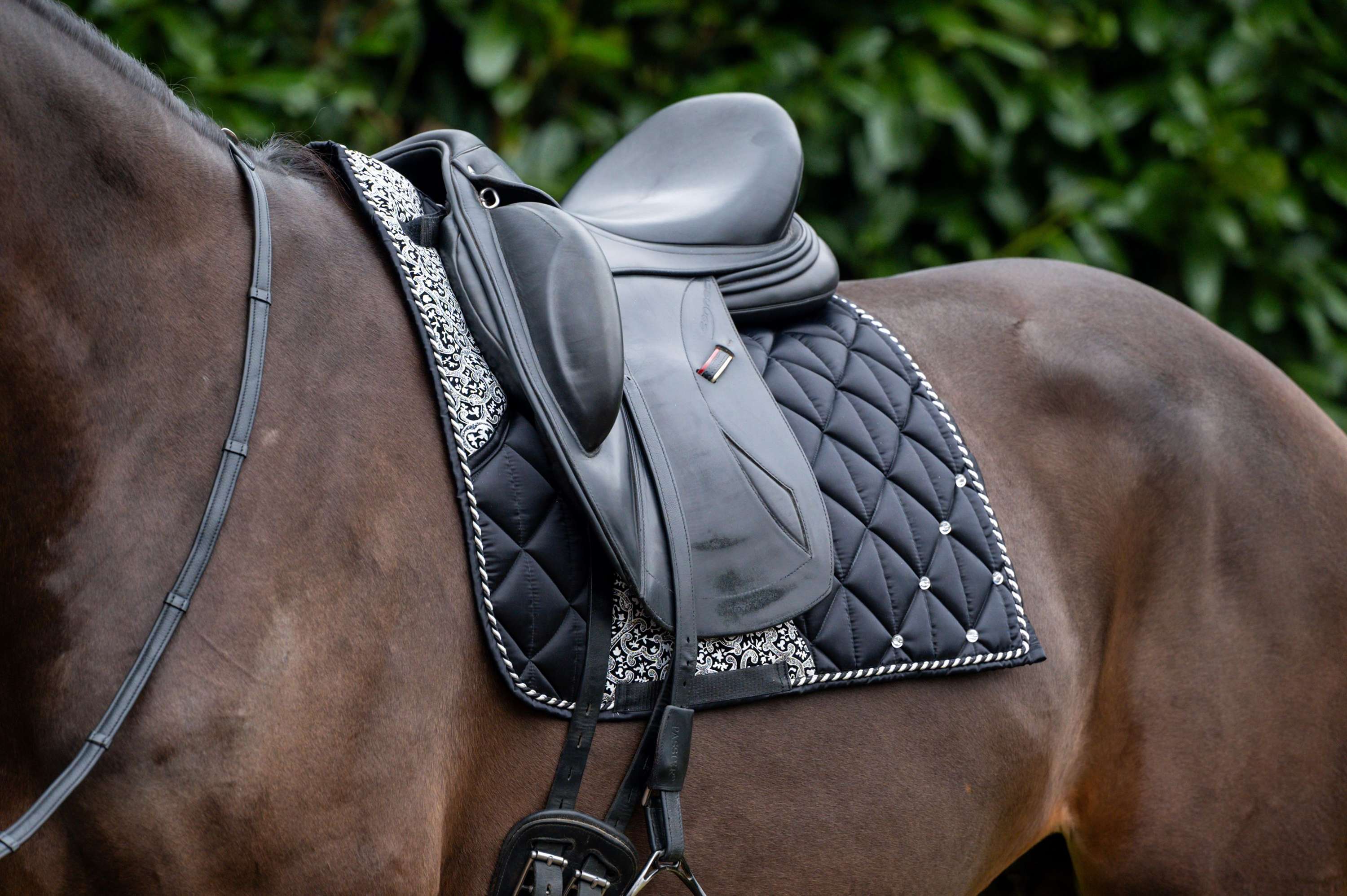 Showtime Tapis de Selle Rio Dressage Noir - Image 3