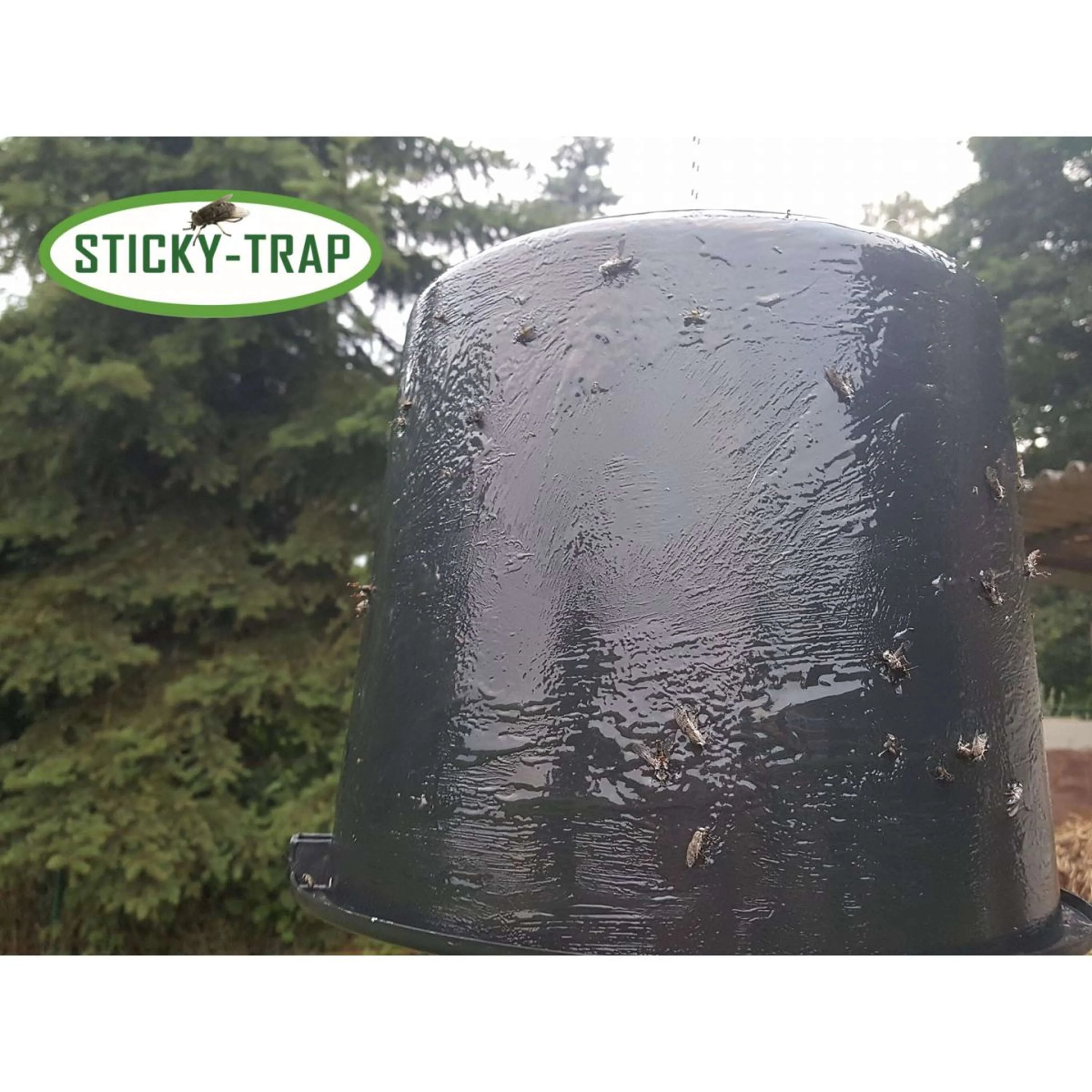 Sticky Trap Seau Noir - Image 4