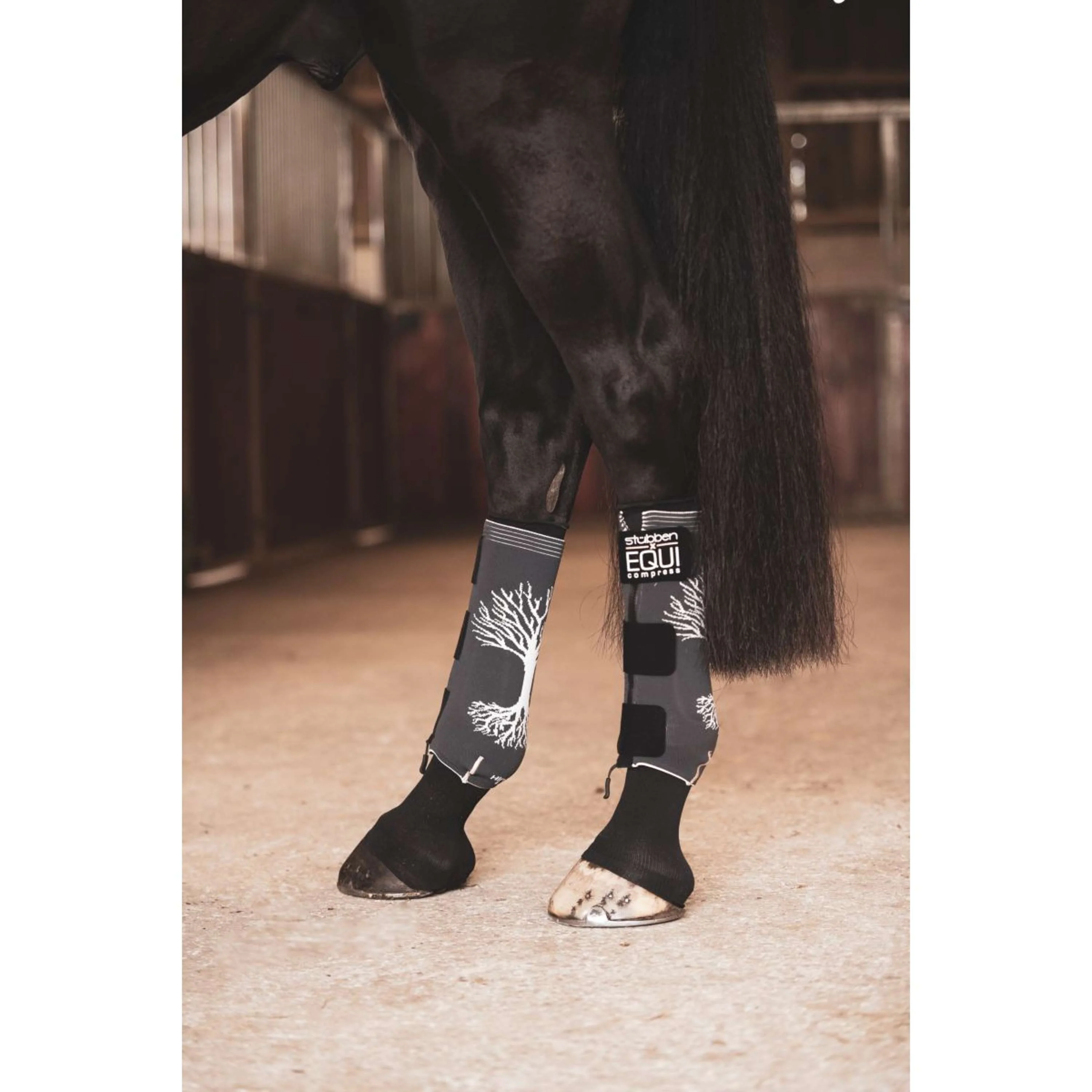 Stübben Equi Compress Set Jambes arrière - Image 5