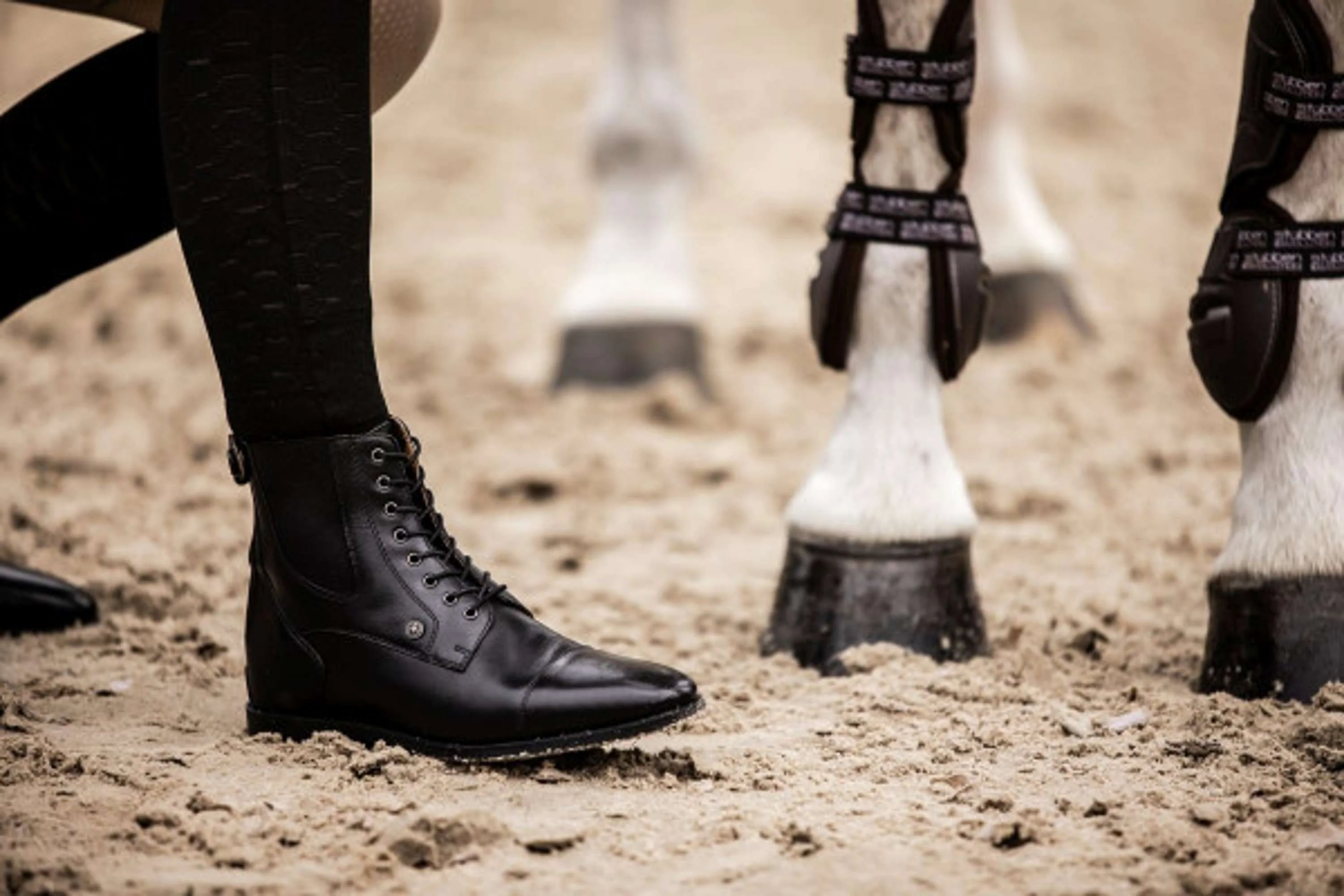 Suedwind Jodhpurs Florentina BZ avec Lacets Noir - Image 8