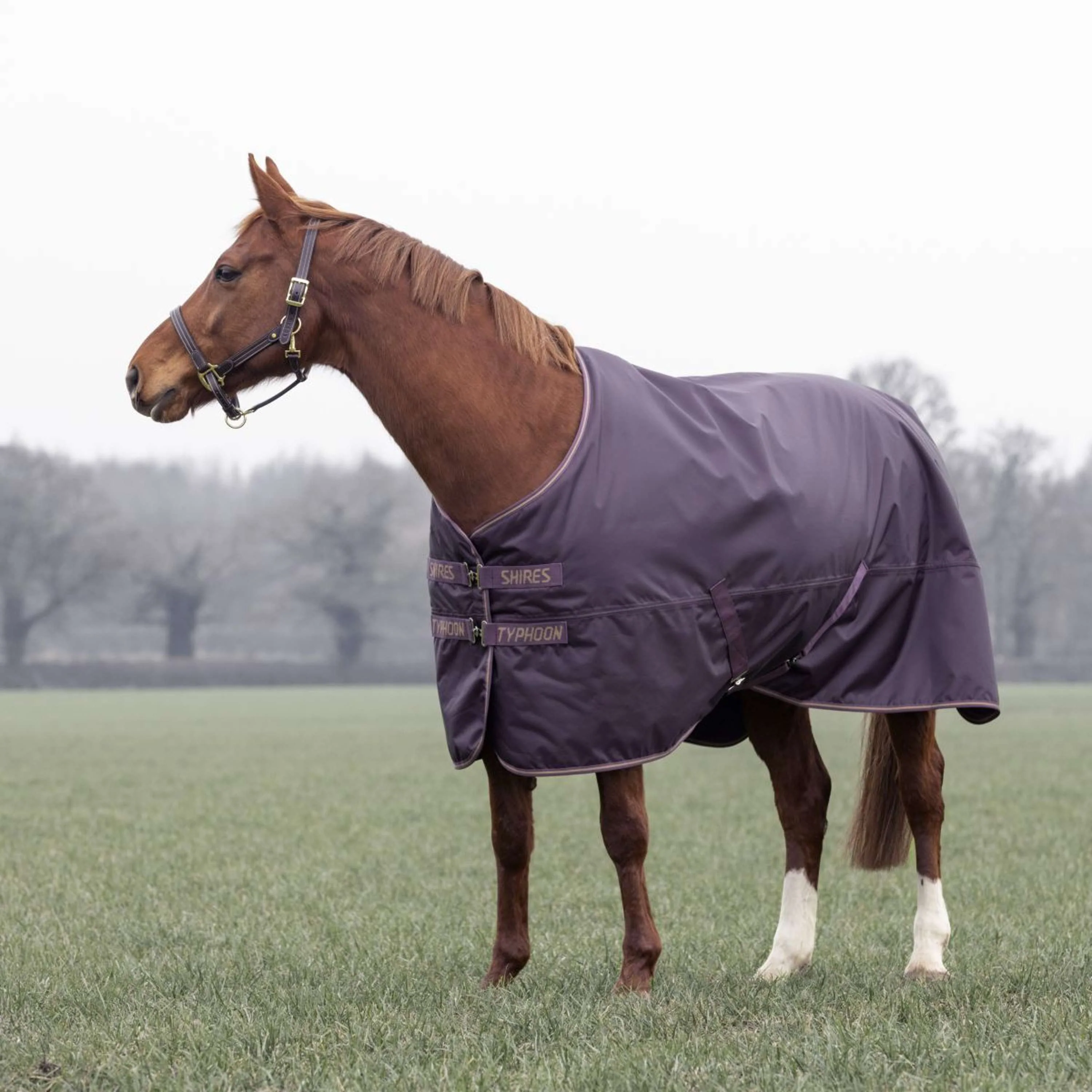 Tempest by Shires Couverture d'Hiver Turnout Typhoon 100g Black Cherry - Image 2