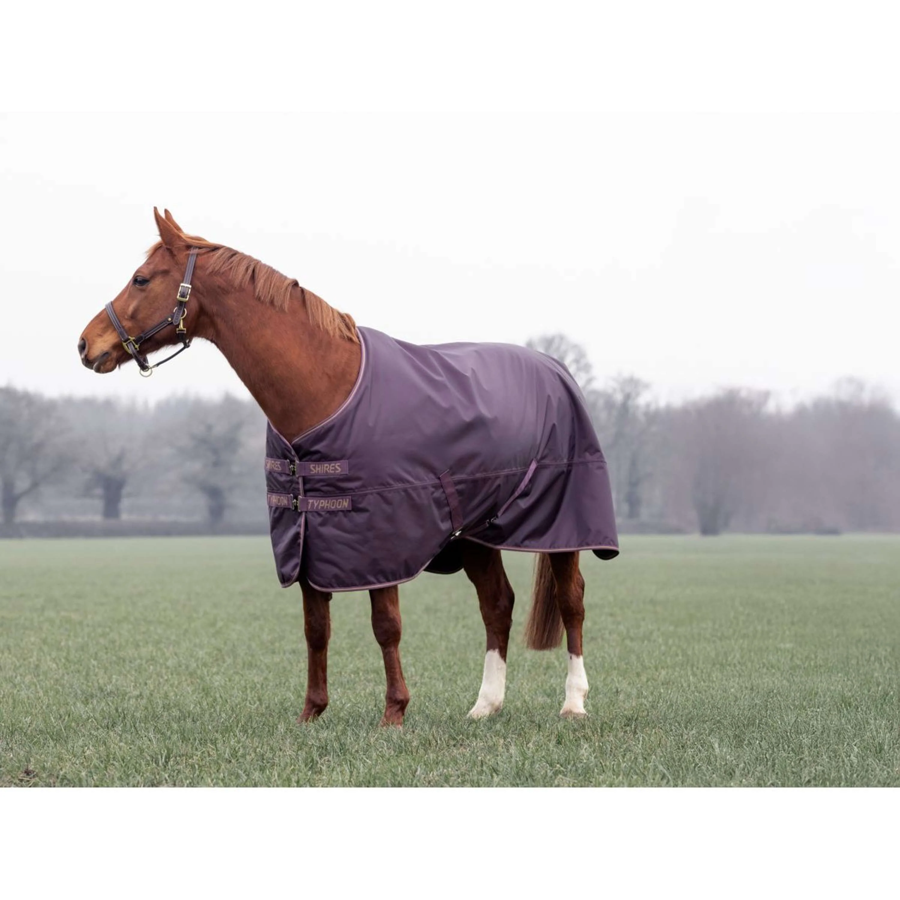 Tempest by Shires Couverture d'Hiver Turnout Typhoon 100g Black Cherry - Image 3