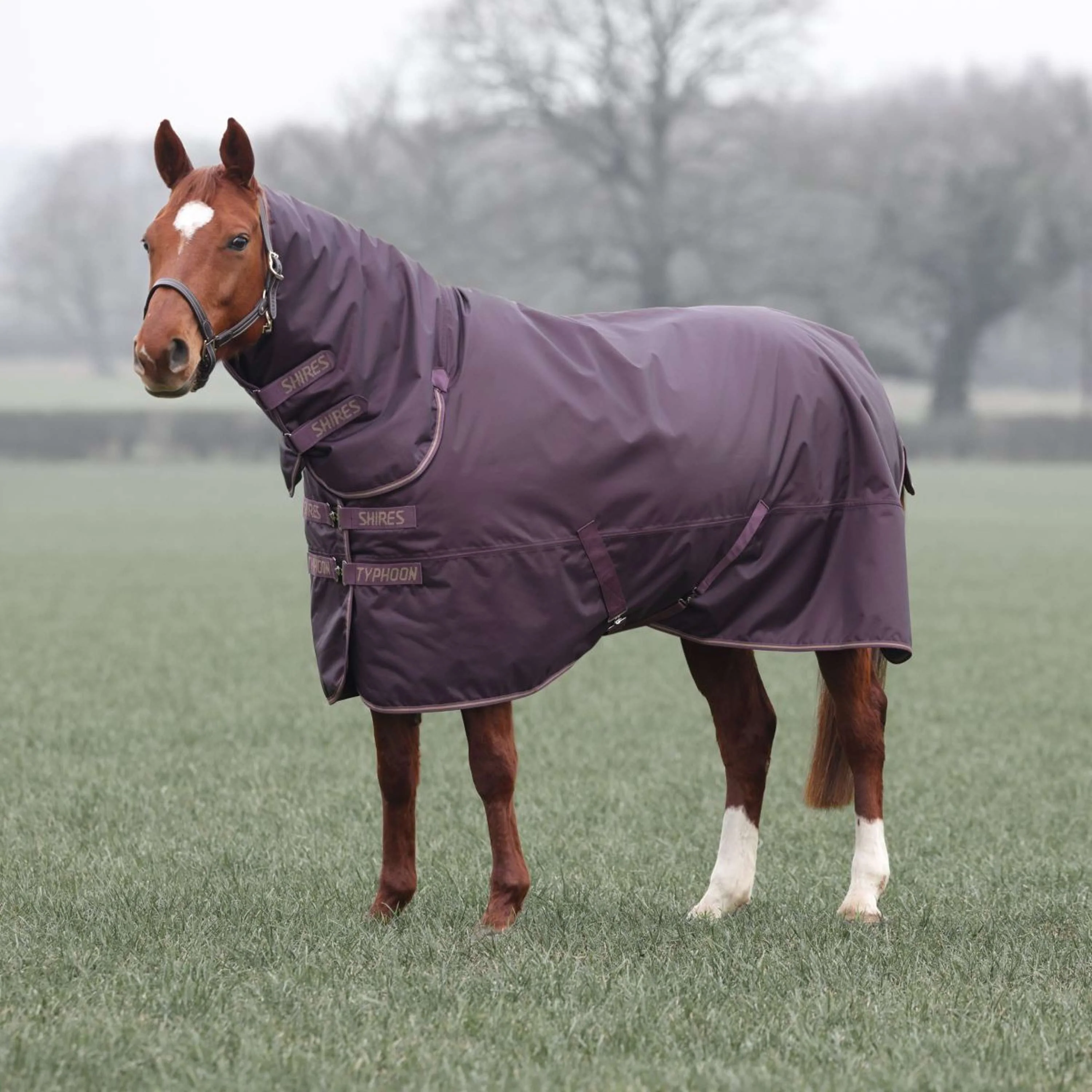 Tempest by Shires Couverture d'Hiver Turnout Typhoon 100g Black Cherry - Image 4