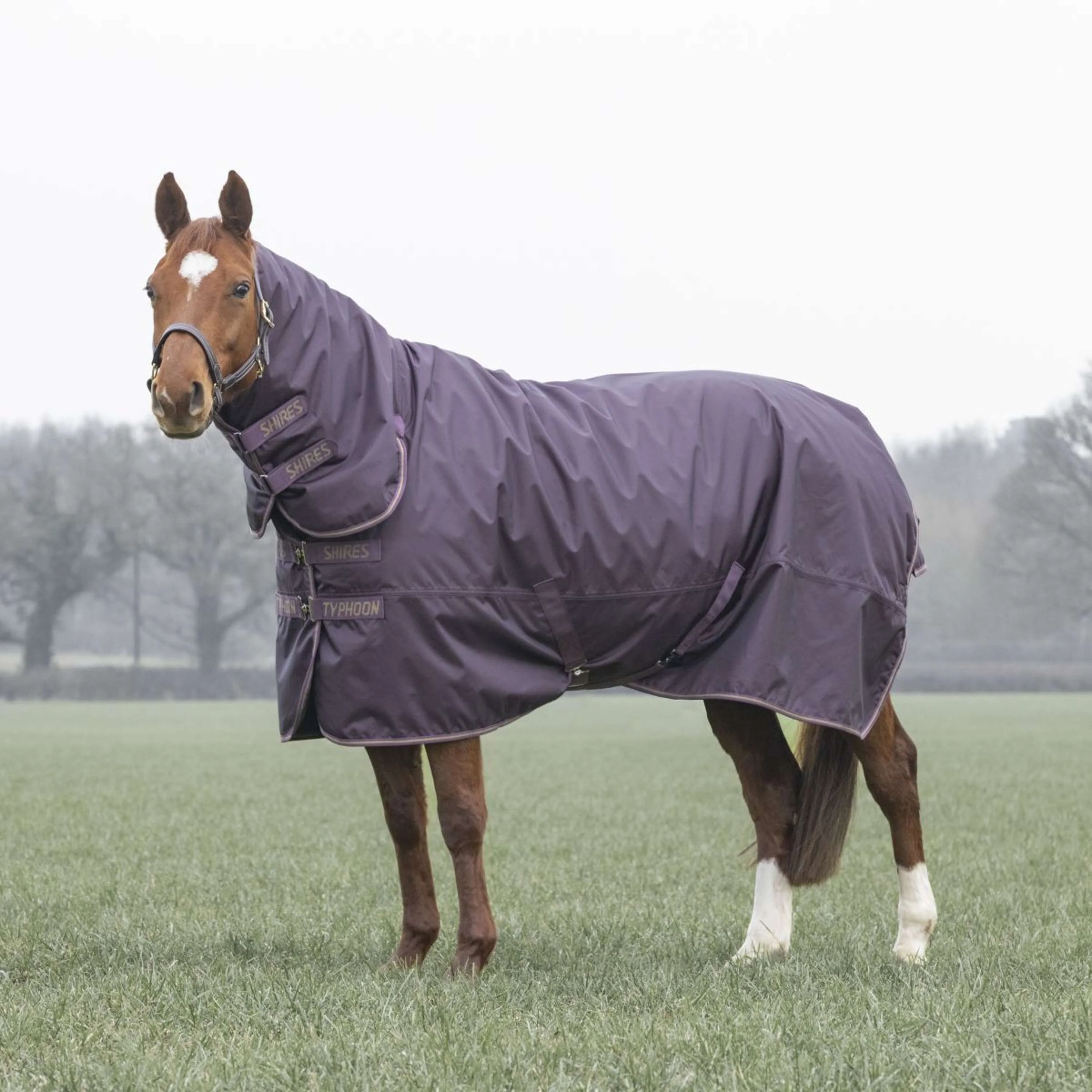 Tempest by Shires Couverture d'Hiver Turnout Typhoon 100g Black Cherry - Image 5