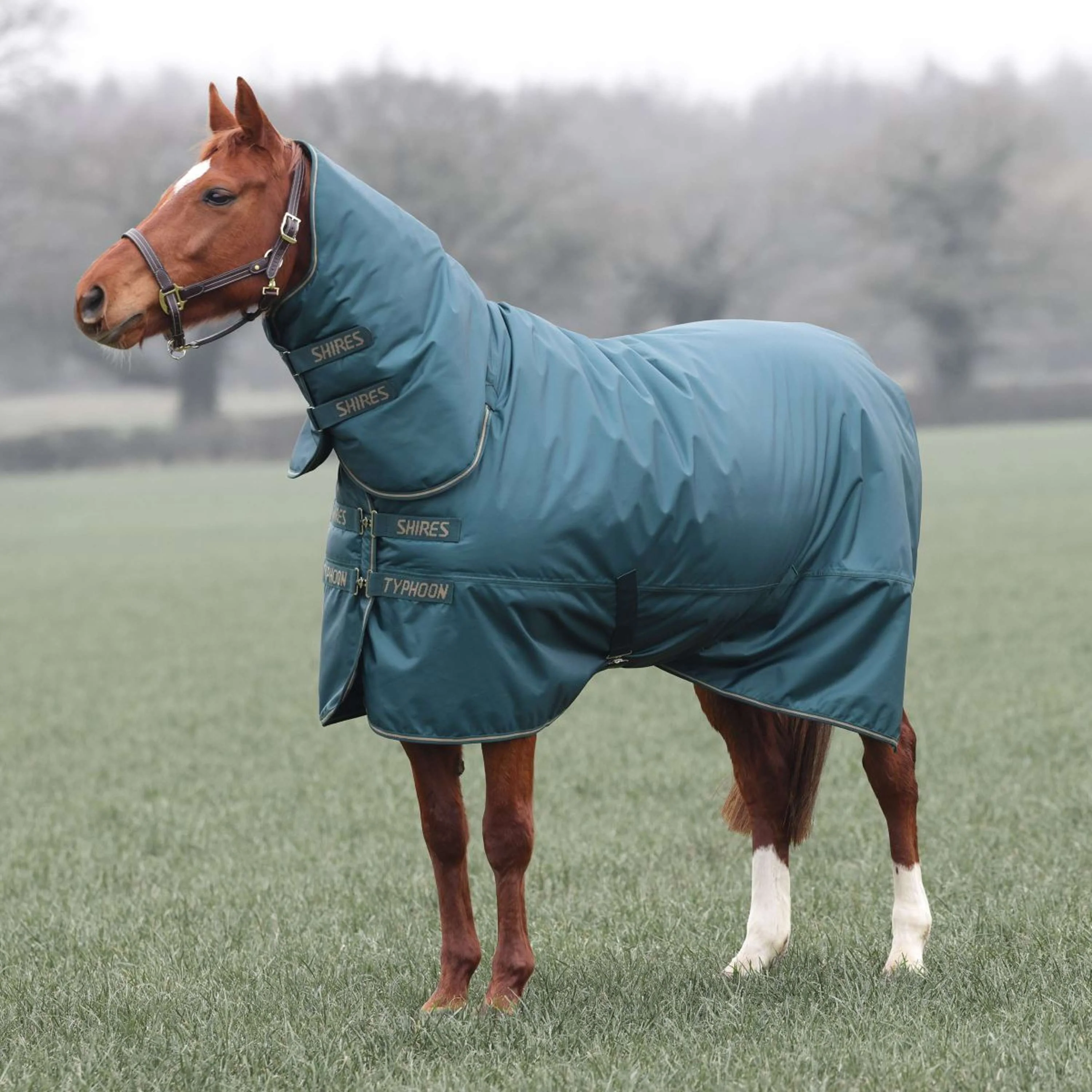 Tempest by Shires Couverture d'Hiver Turnout Typhoon 200g Vert - Image 3