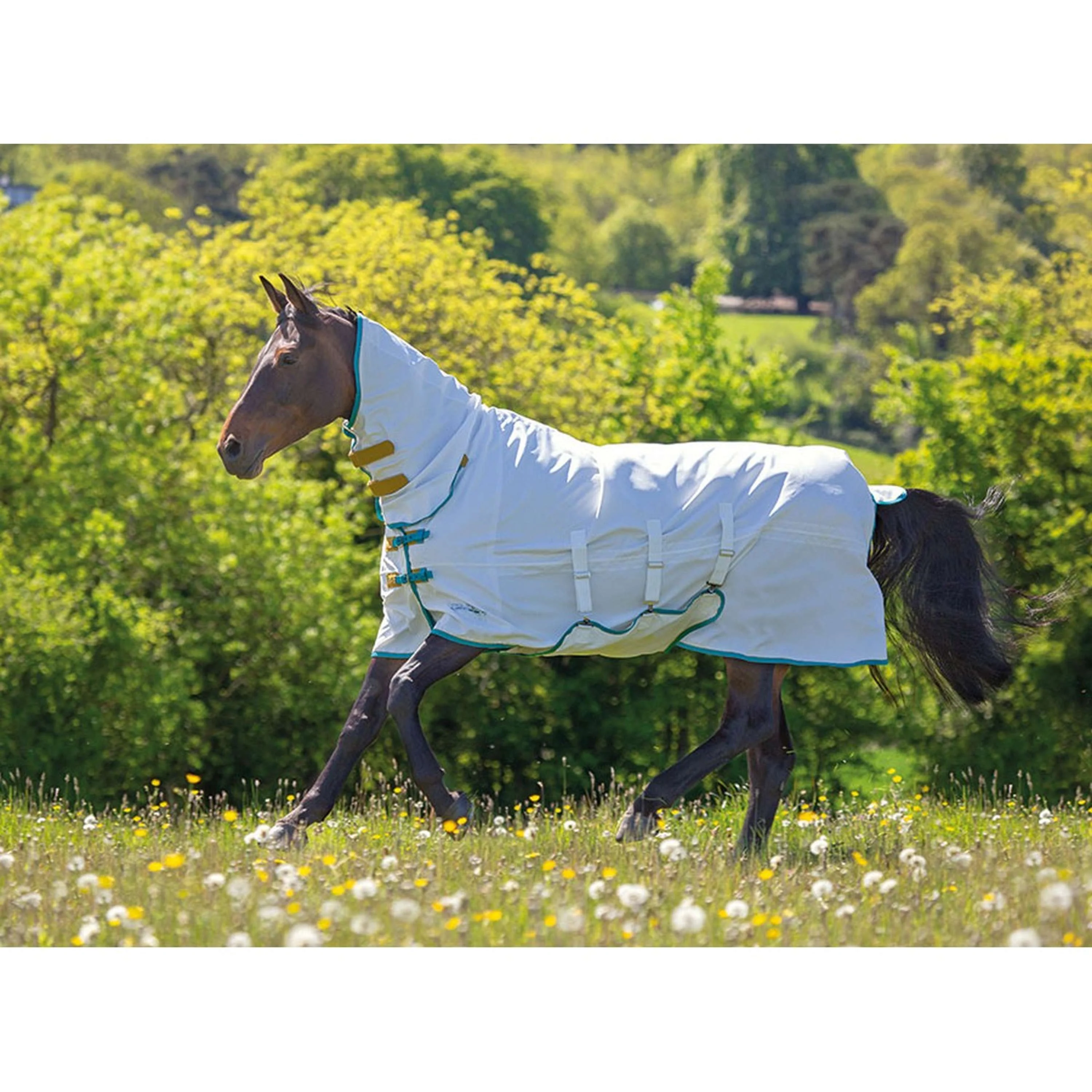 Tempest Plus by Shires Couverture Anti-Eczema Sweet-Itch Combo Blanc - Image 8