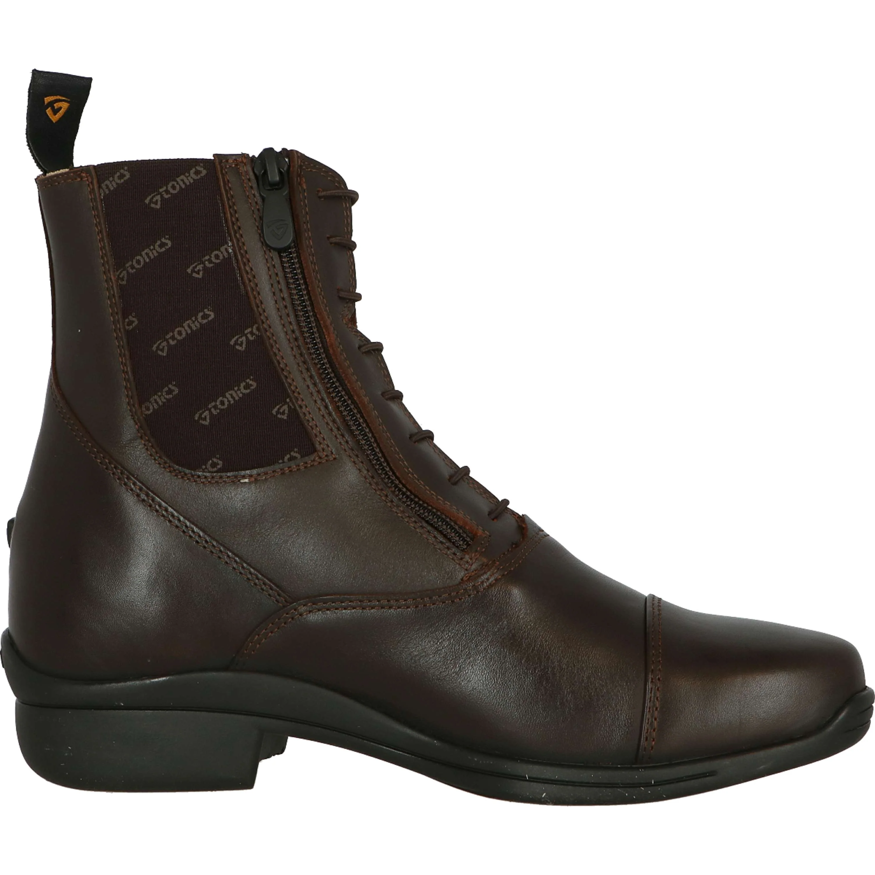 Tonics Jodhpurs Stardust II AST Marron foncé - Image 6