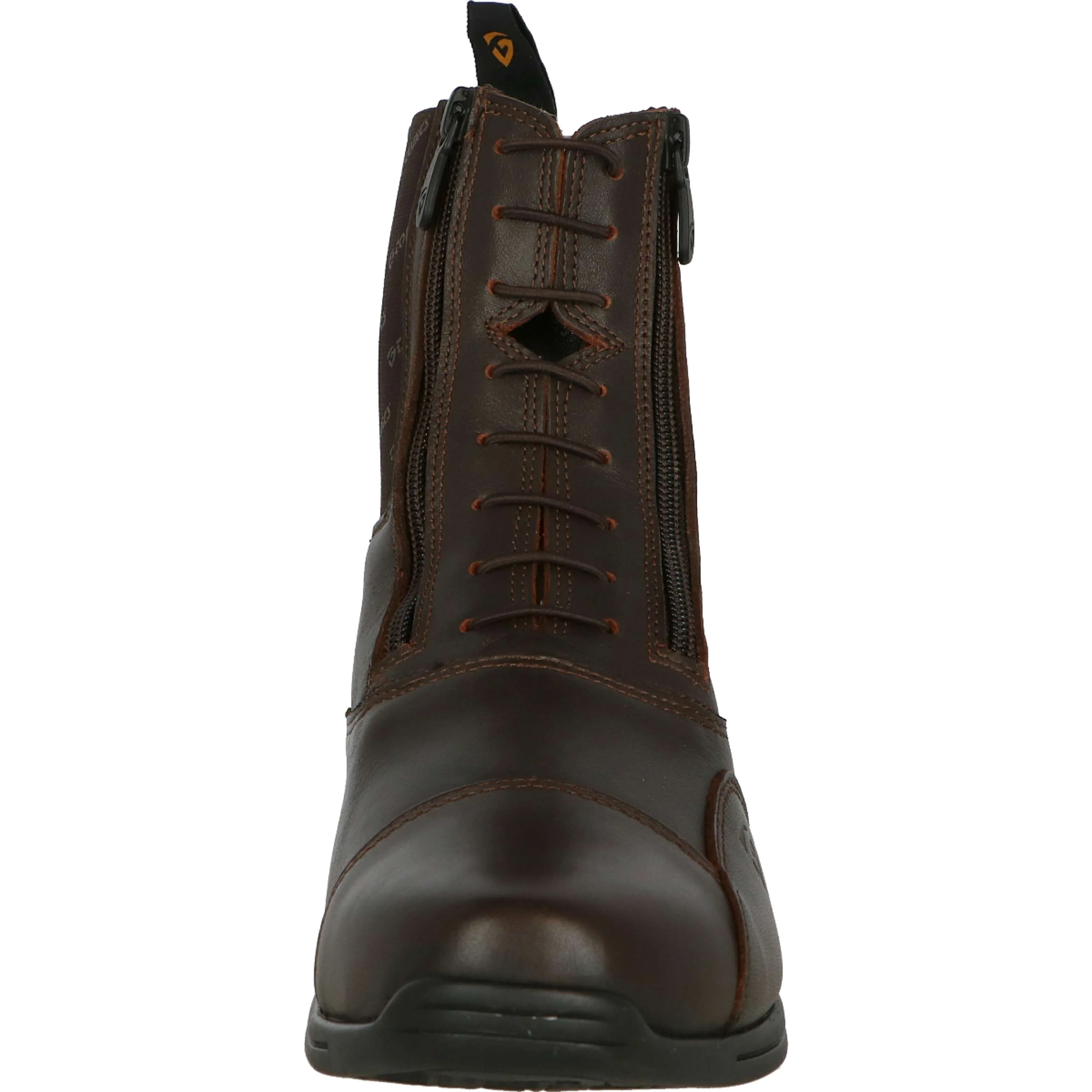 Tonics Jodhpurs Stardust II AST Marron foncé - Image 8
