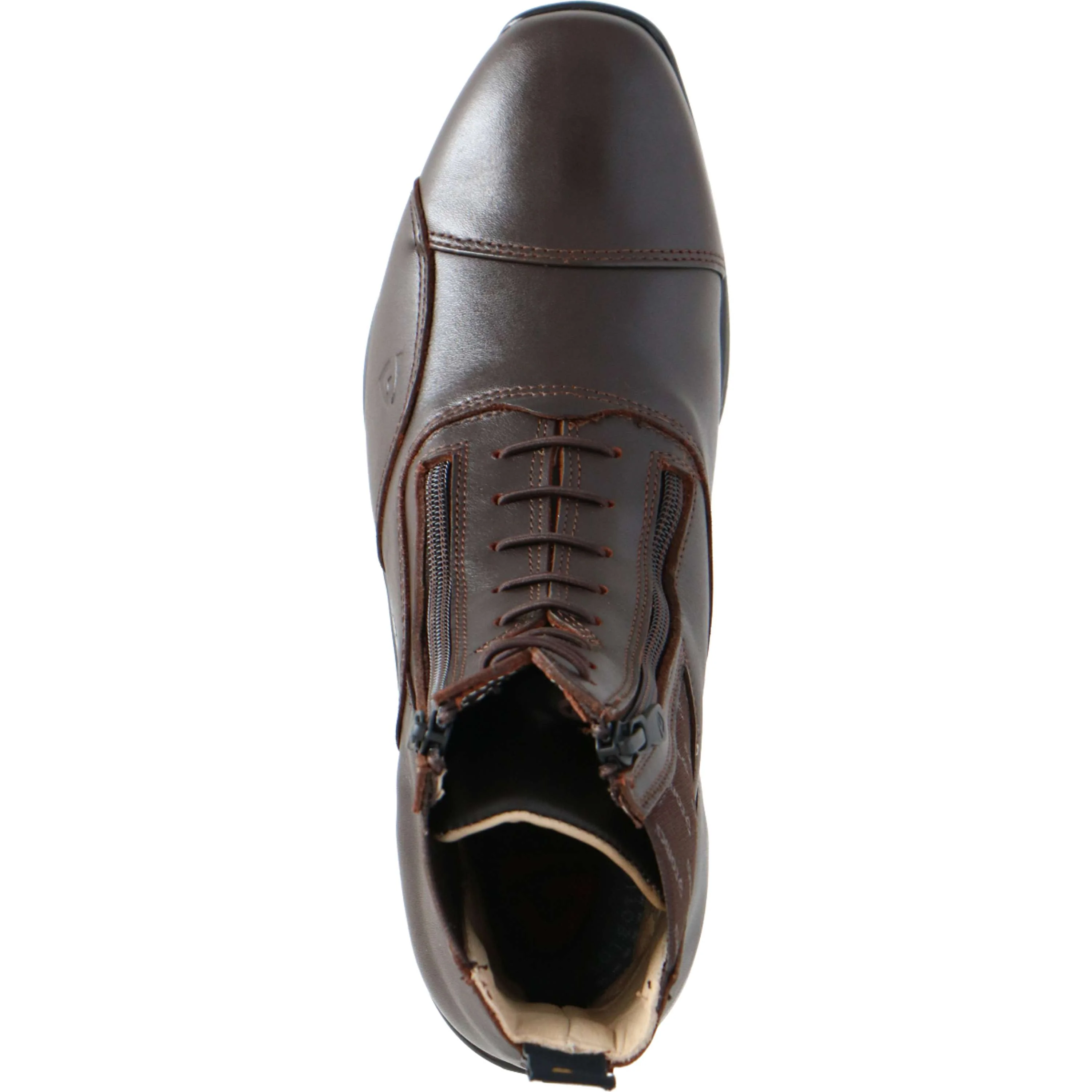 Tonics Jodhpurs Stardust II AST Marron foncé - Image 9