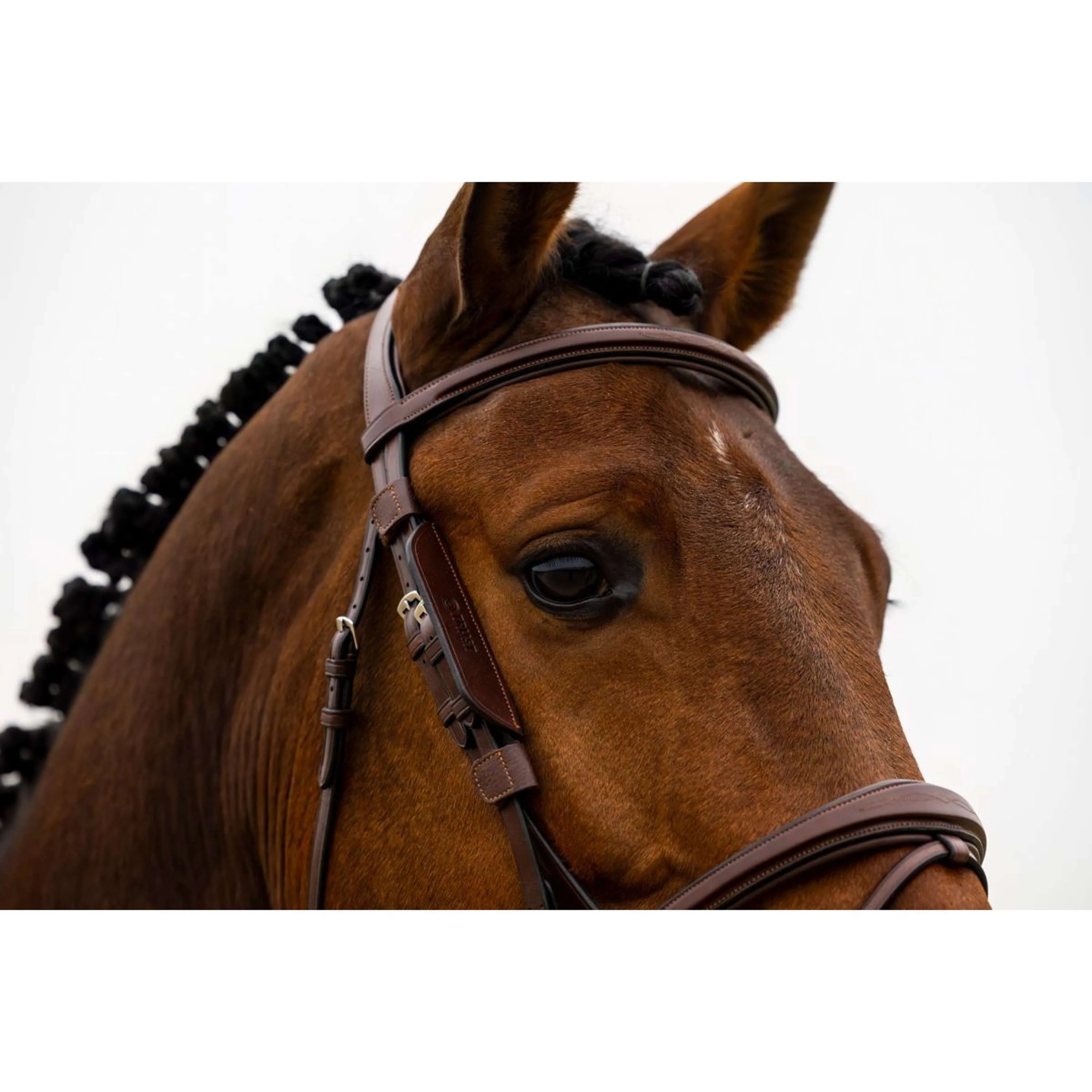 Trust Blinker Marron - Image 3
