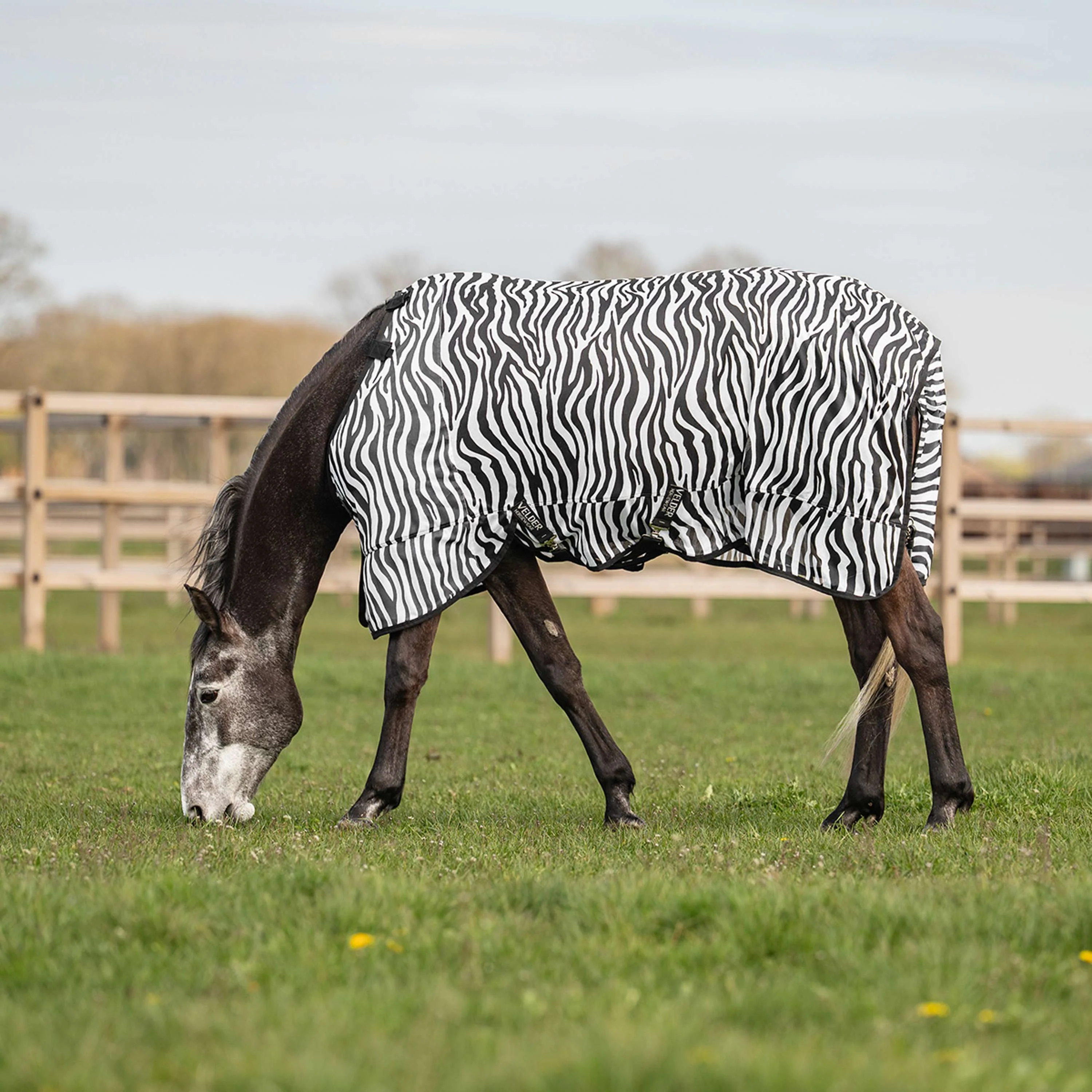 Velder Horsewear Couverture Anti-Mouches avec Couvre-cou Zebra Noir/Blanc - Image 2
