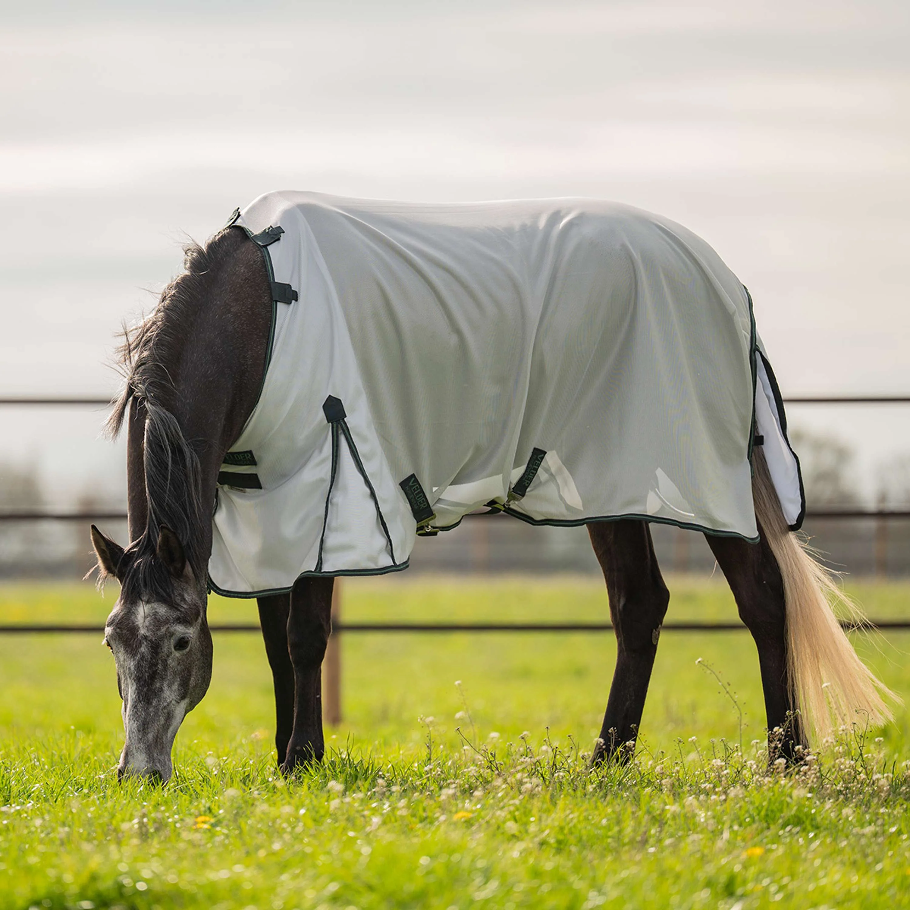 Velder Horsewear Couverture Anti-Mouches Guardian AirMesh Silver Mist - Image 2