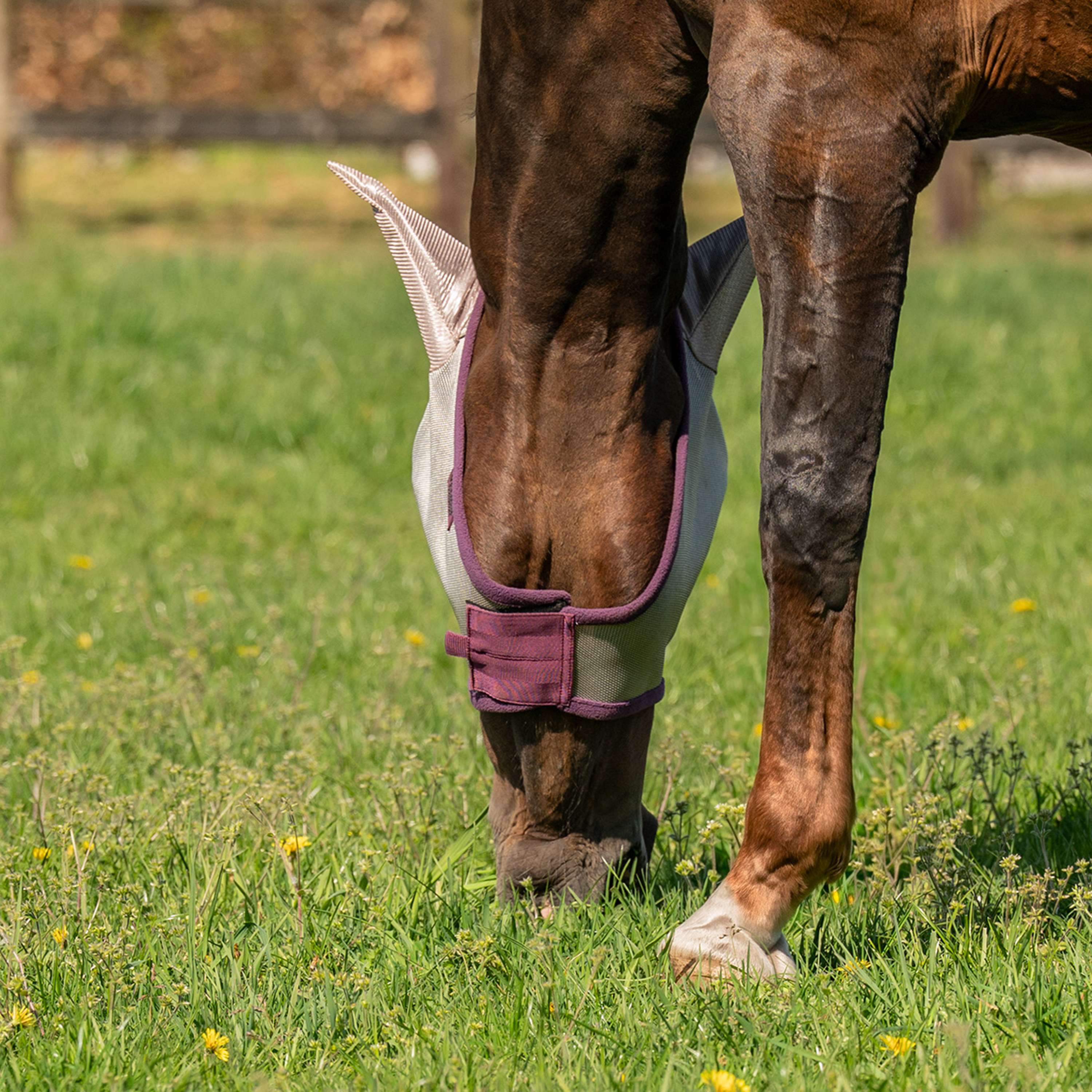 Velder Horsewear Masque Anti-Mouches avec Oreilles Sand Stone - Image 3