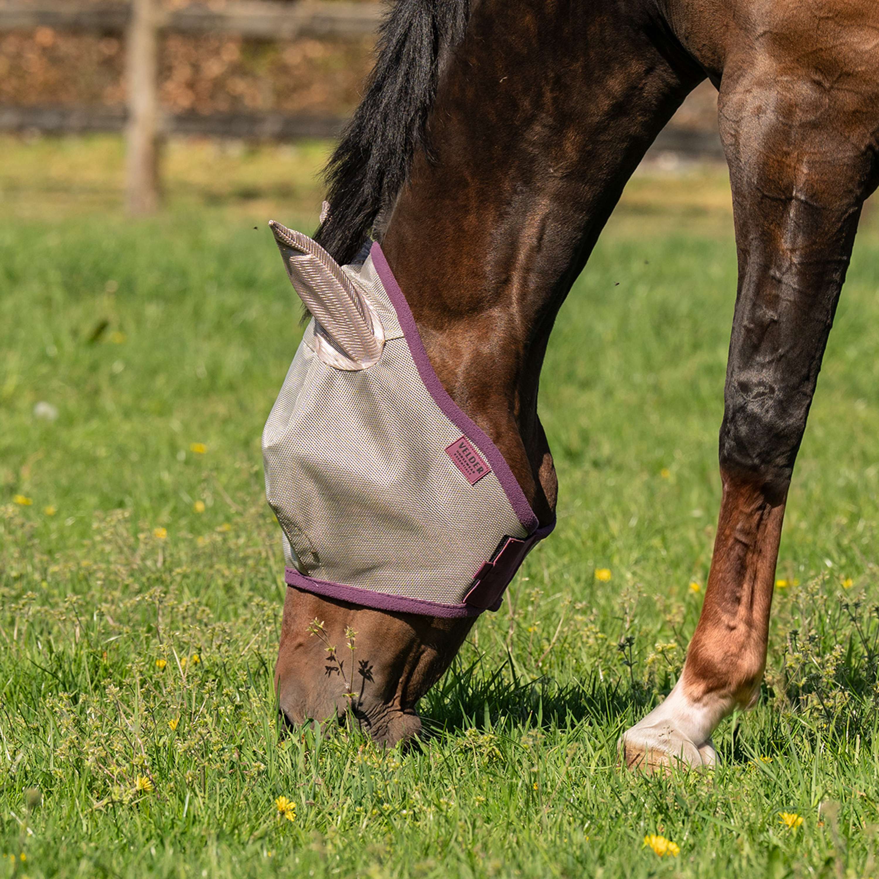 Velder Horsewear Masque Anti-Mouches avec Oreilles Sand Stone - Image 4