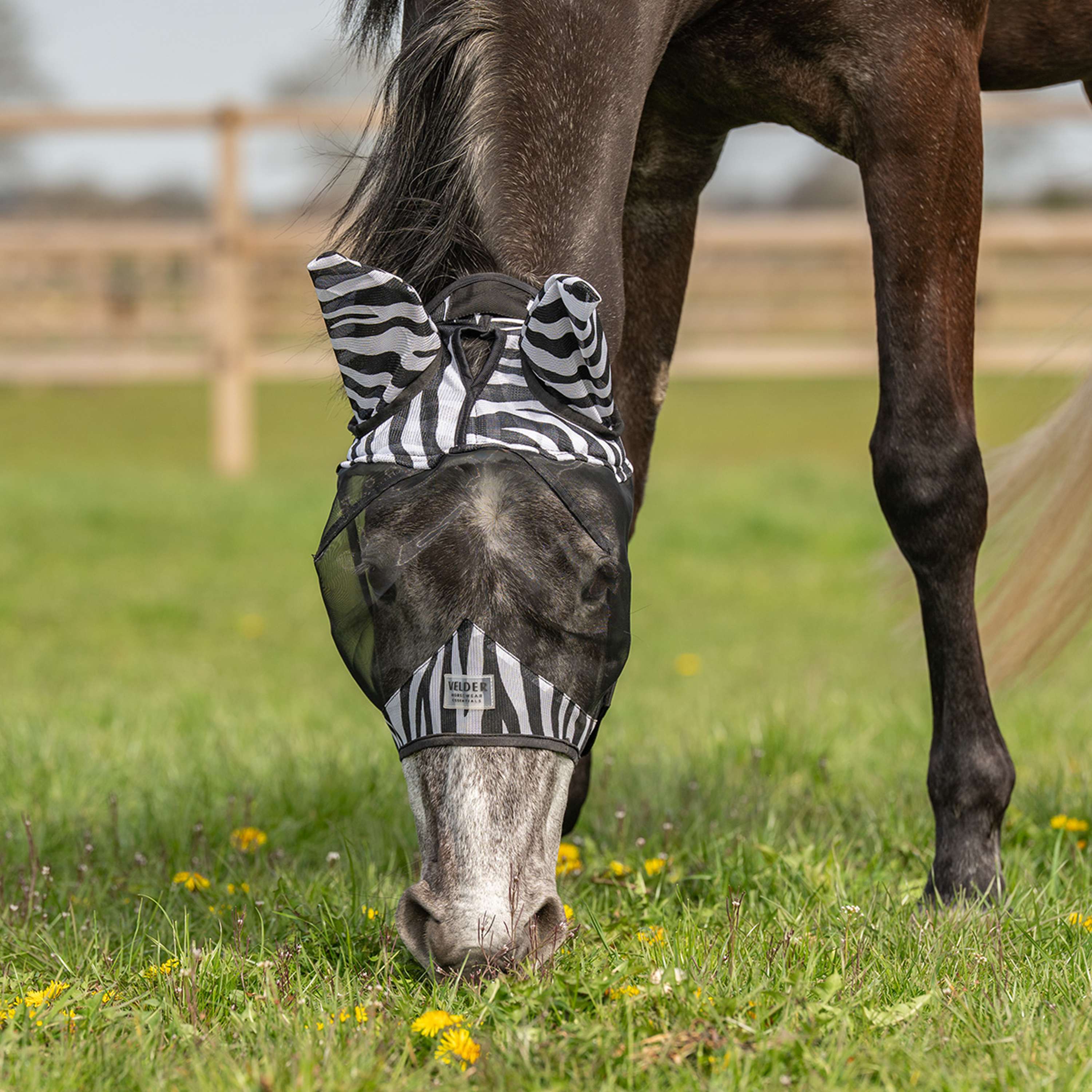 Velder Horsewear Masque Anti-Mouches Zebra avec Oreilles Noir/Blanc - Image 2