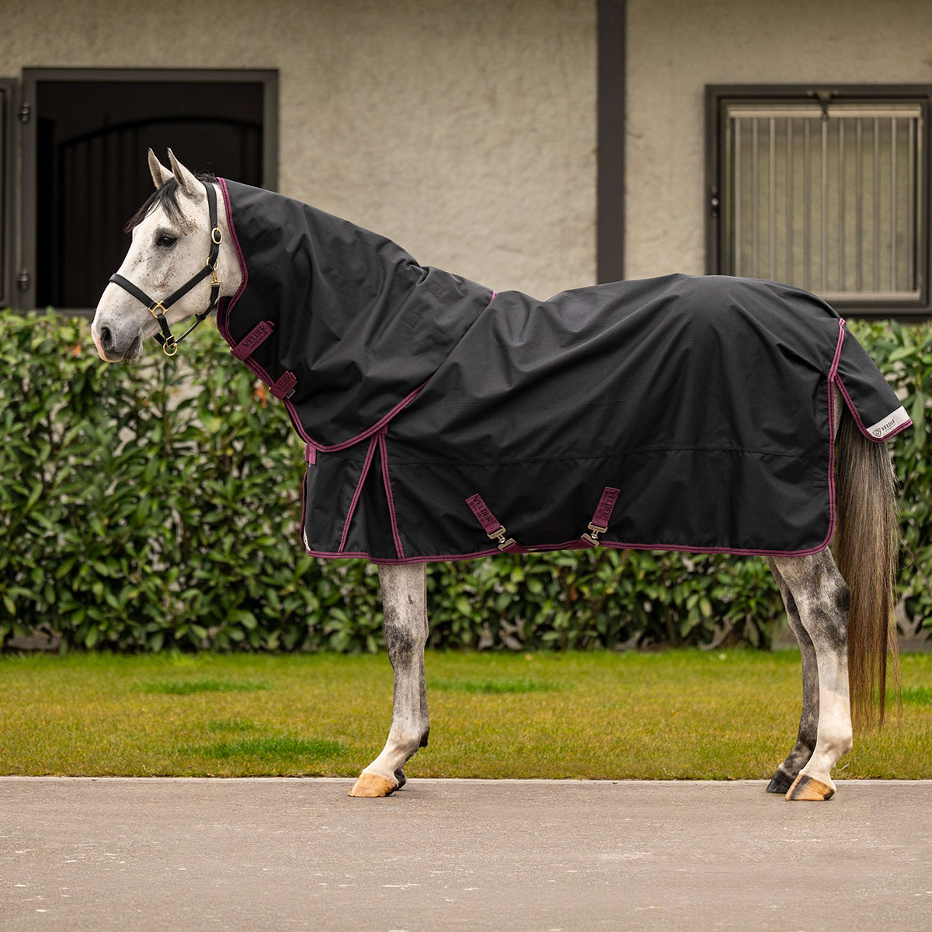 Velder Horsewear Couvre-Cou 1200D 0g Noir - Image 3